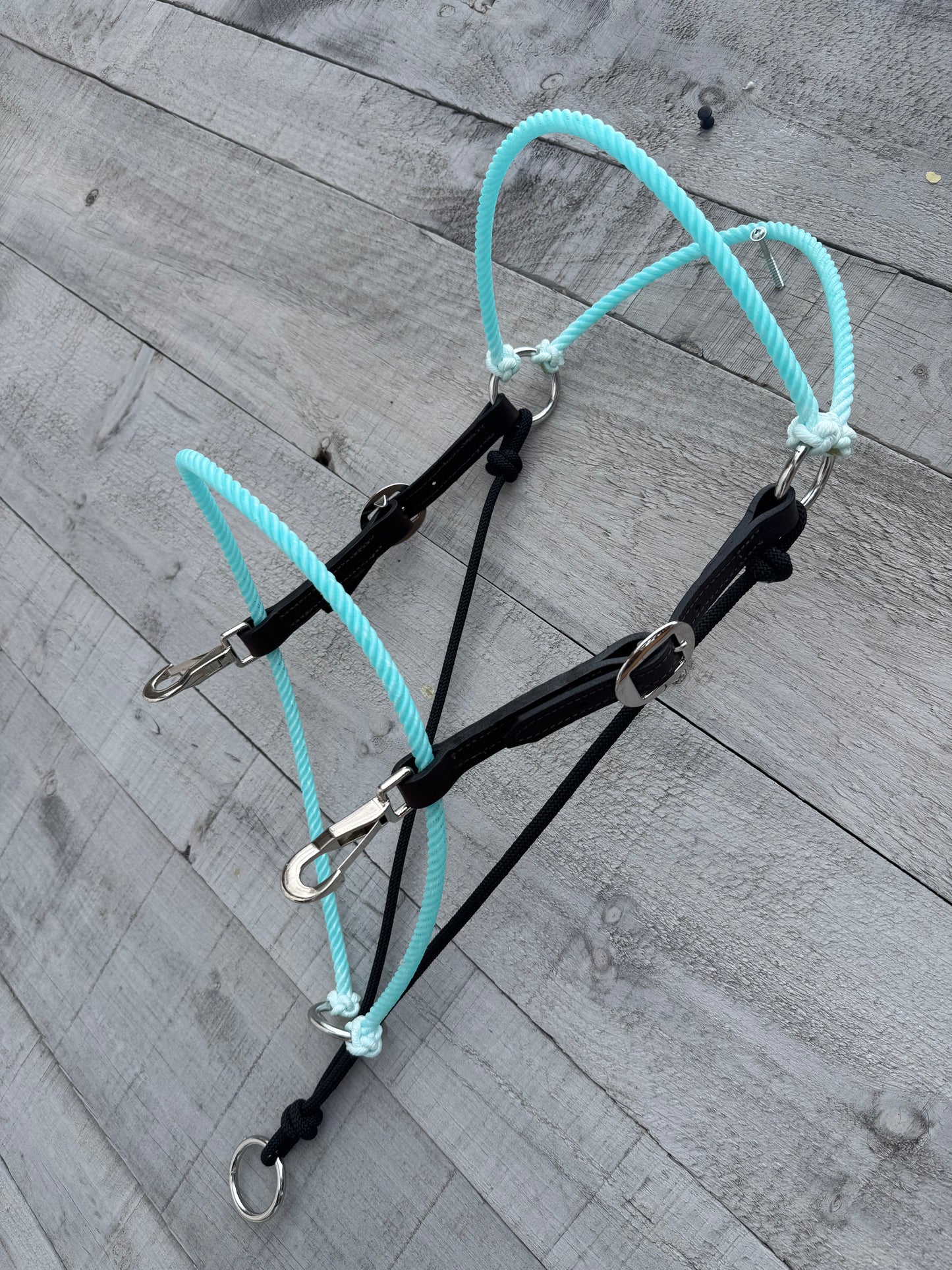Turquoise Headsetter Headstall