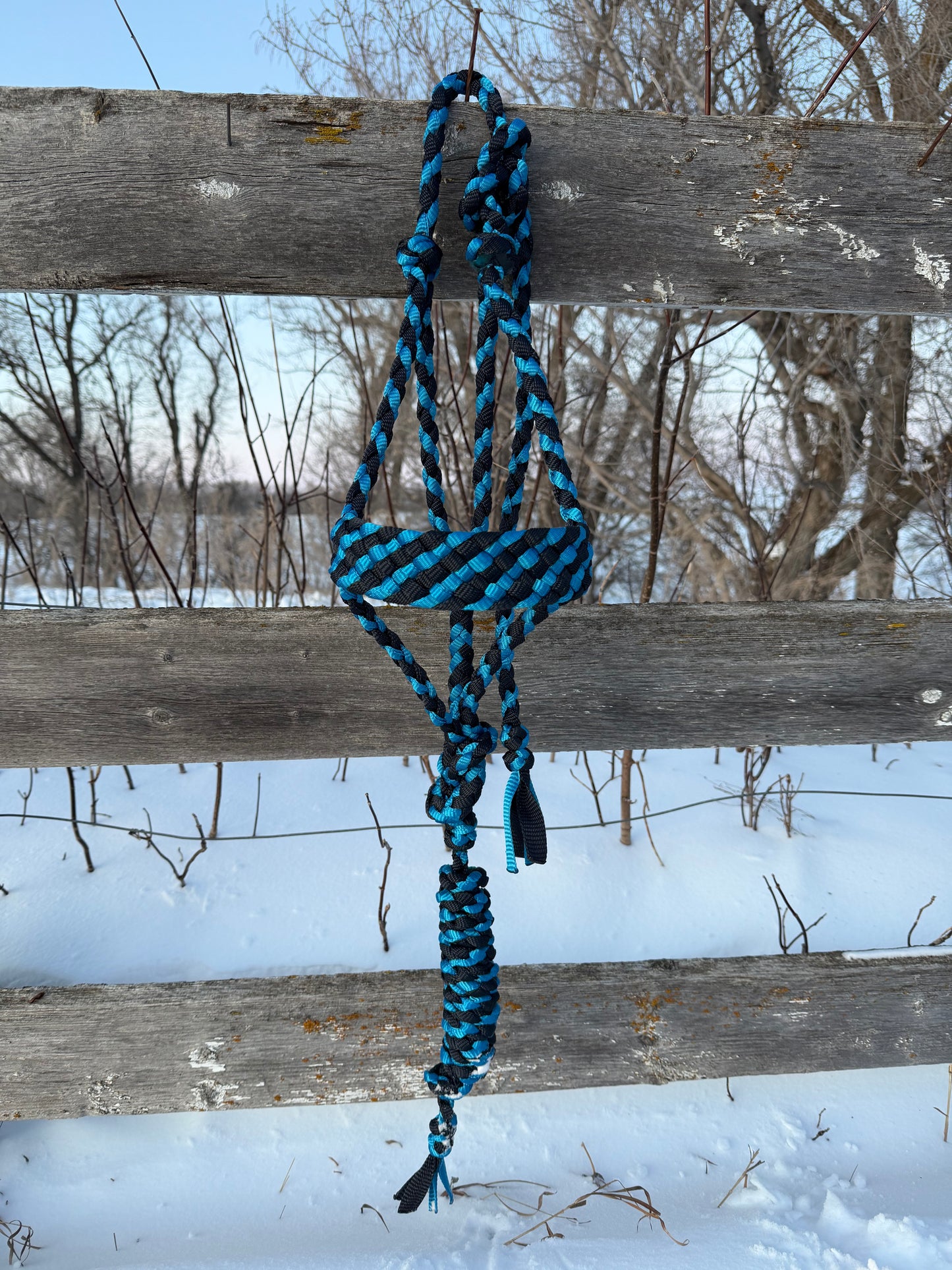 Navy & Blue Muletape Halter