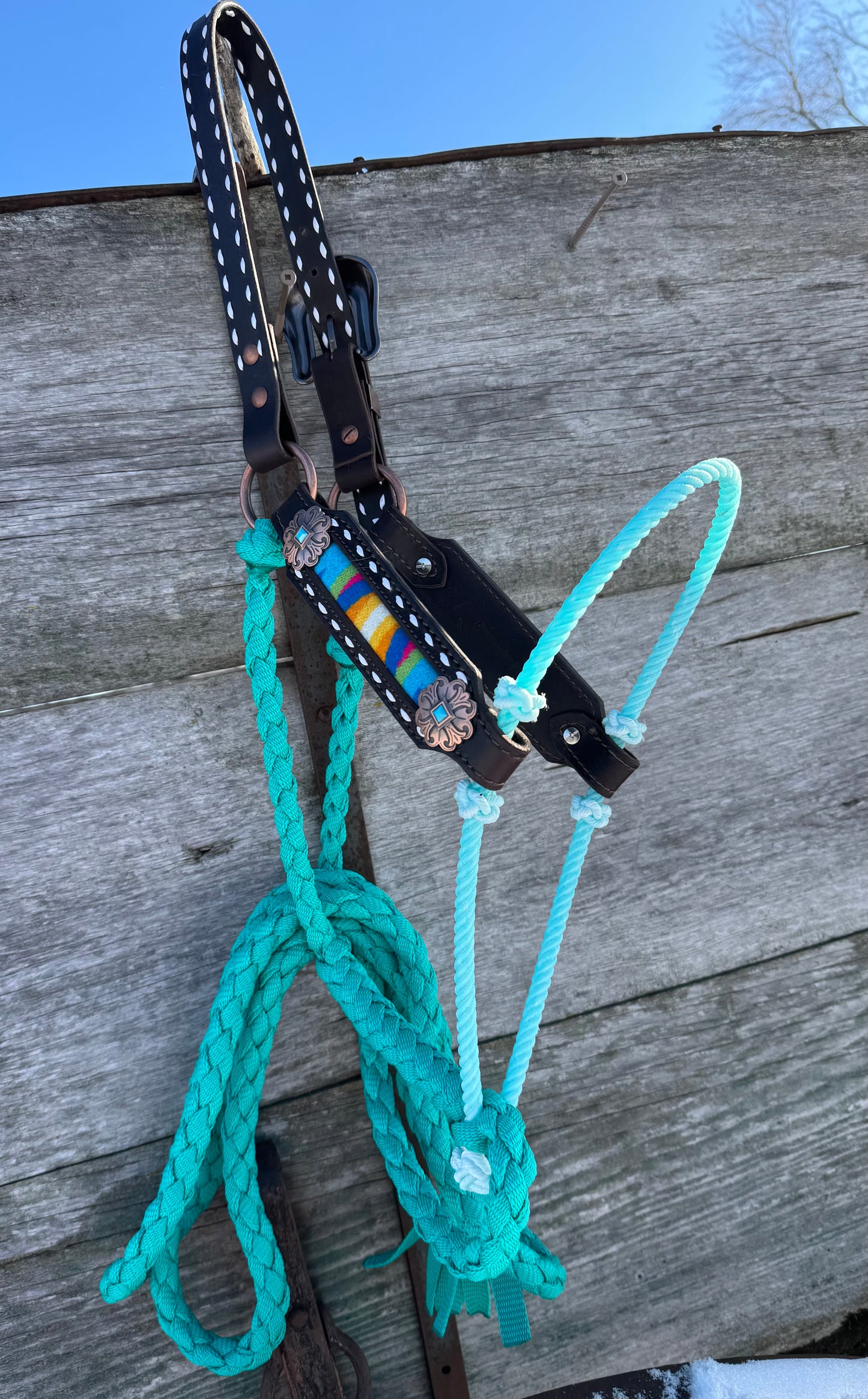 Pendleton Hybrid Halter