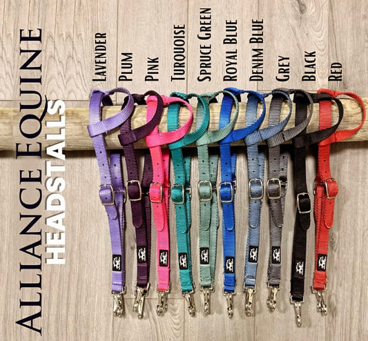 Premium Nylon Quick-Release One Ear Headstall