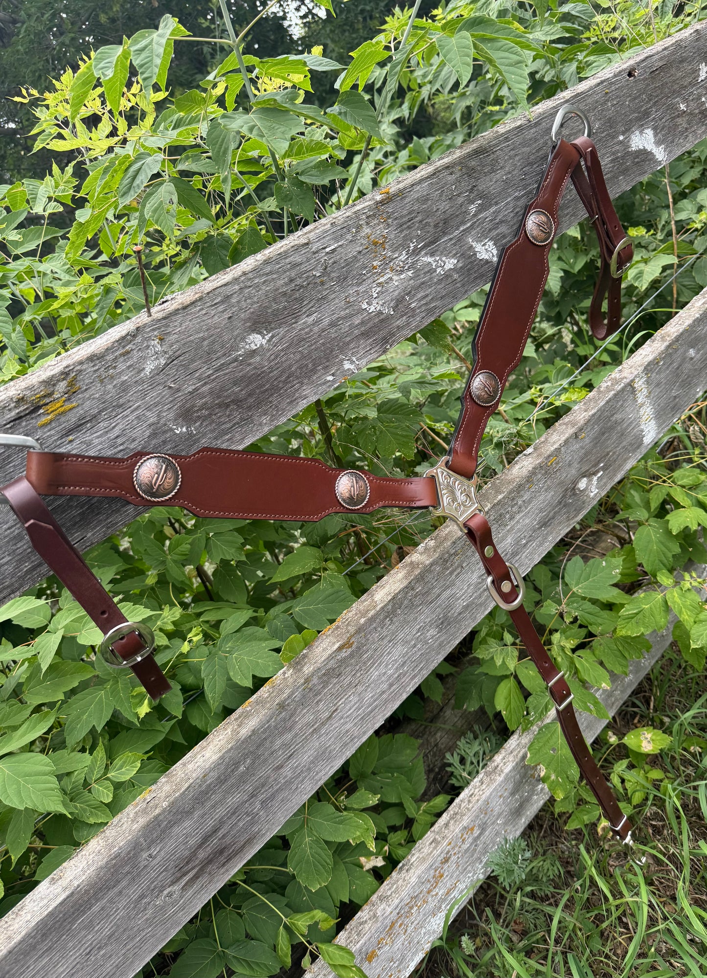 Simple Feather Breastcollar
