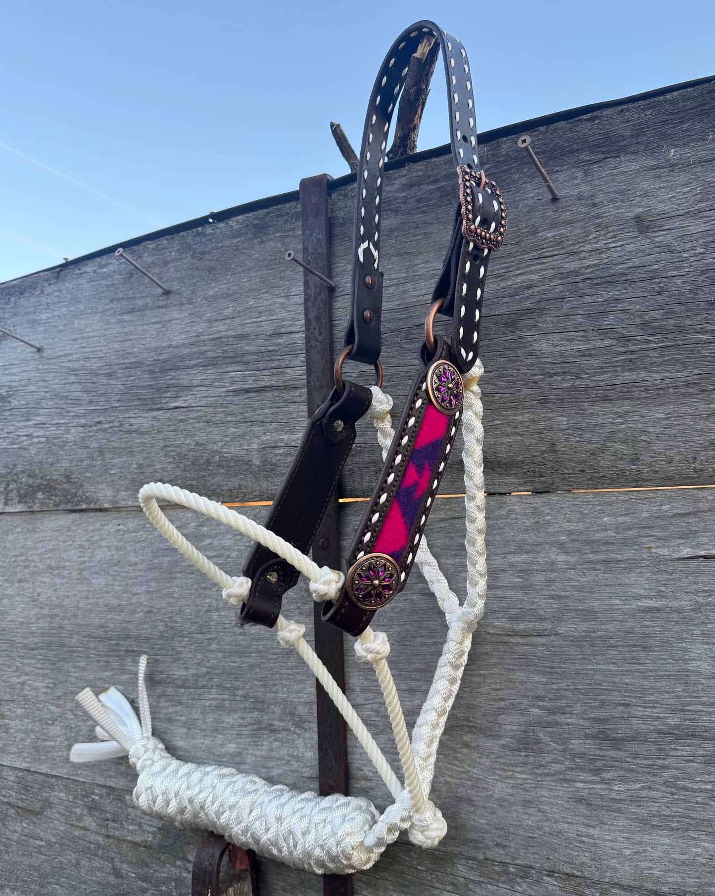 Pendleton Hybrid Halter
