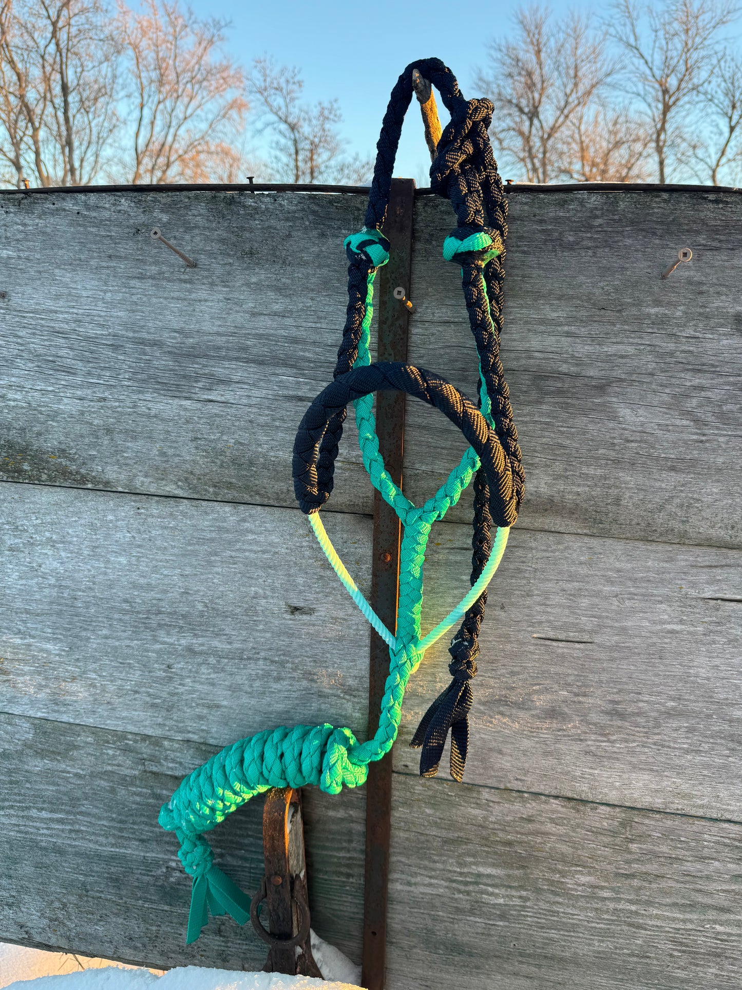Navy/Turquoise Lariat Halter