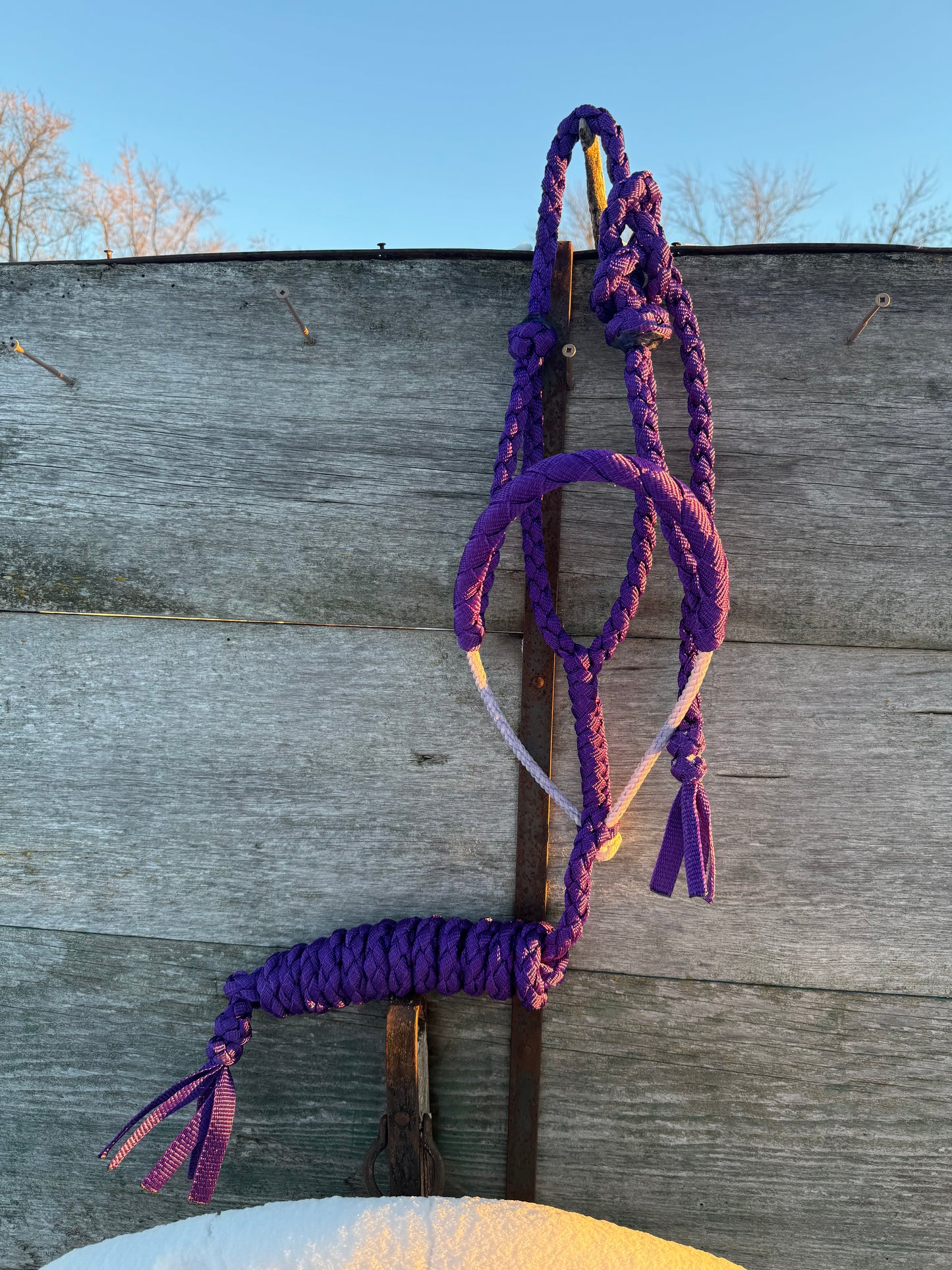 Purple Lariat Halter