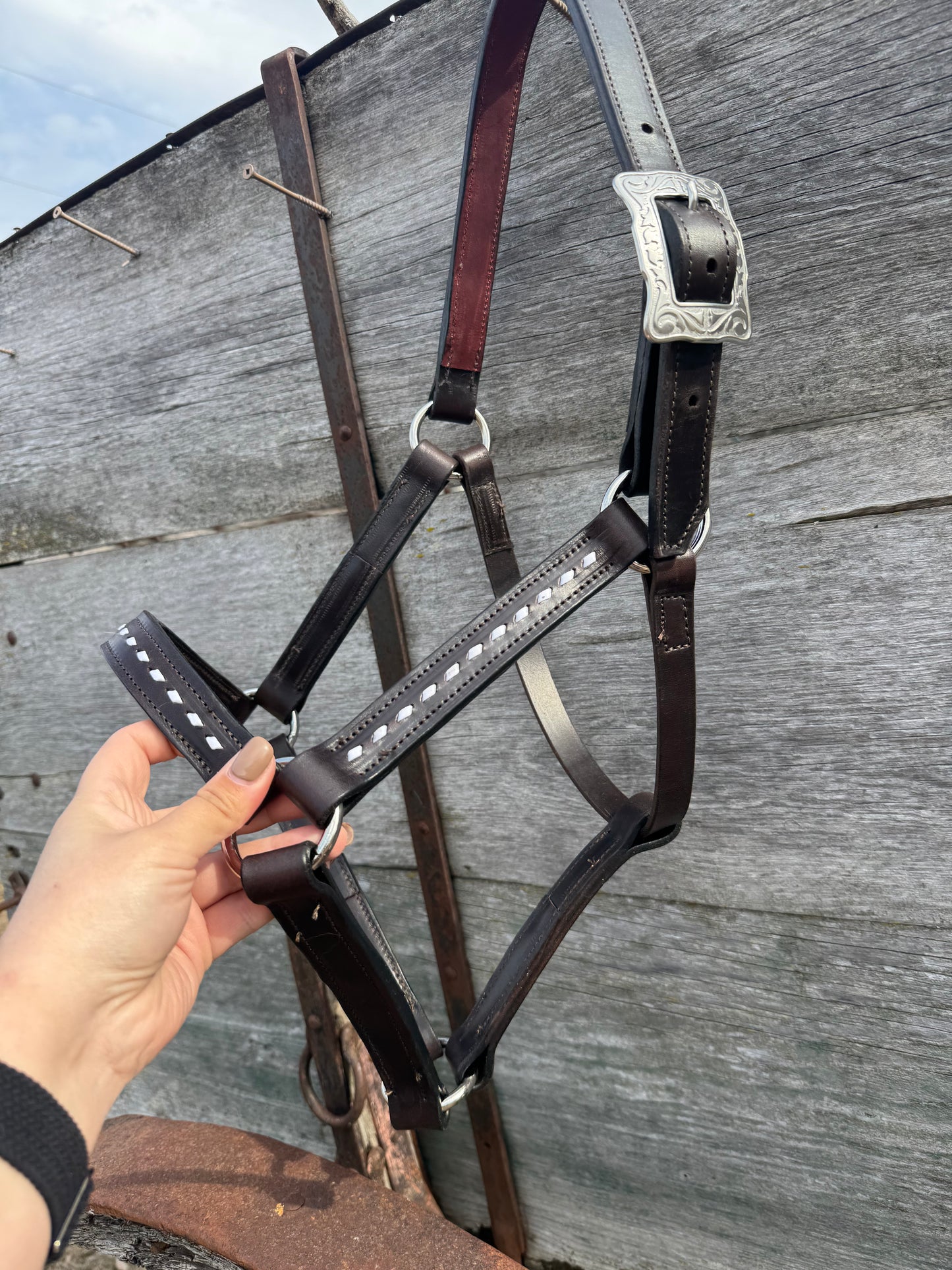 White Buckstitch Leather Halter