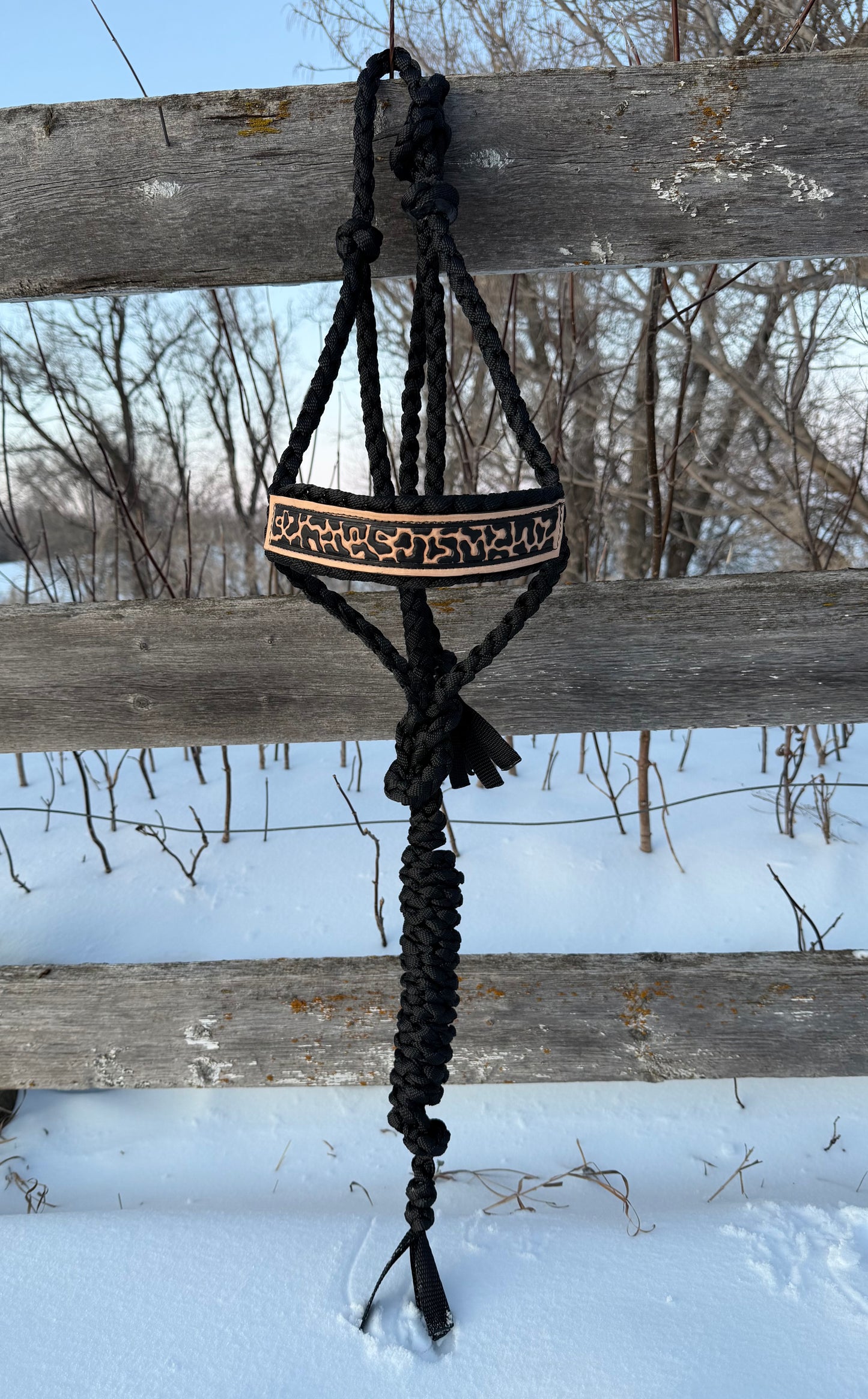 Black Cheetah Halter