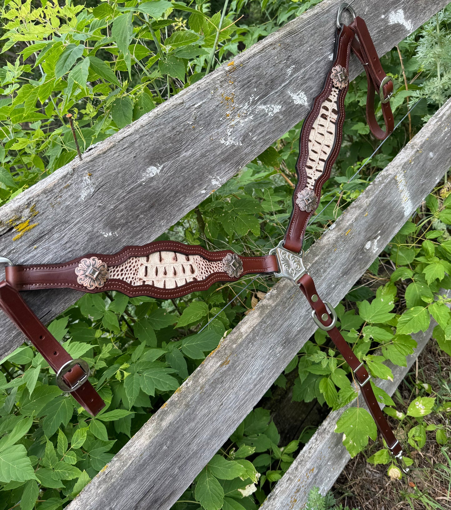 Ivory Gator Breastcollar