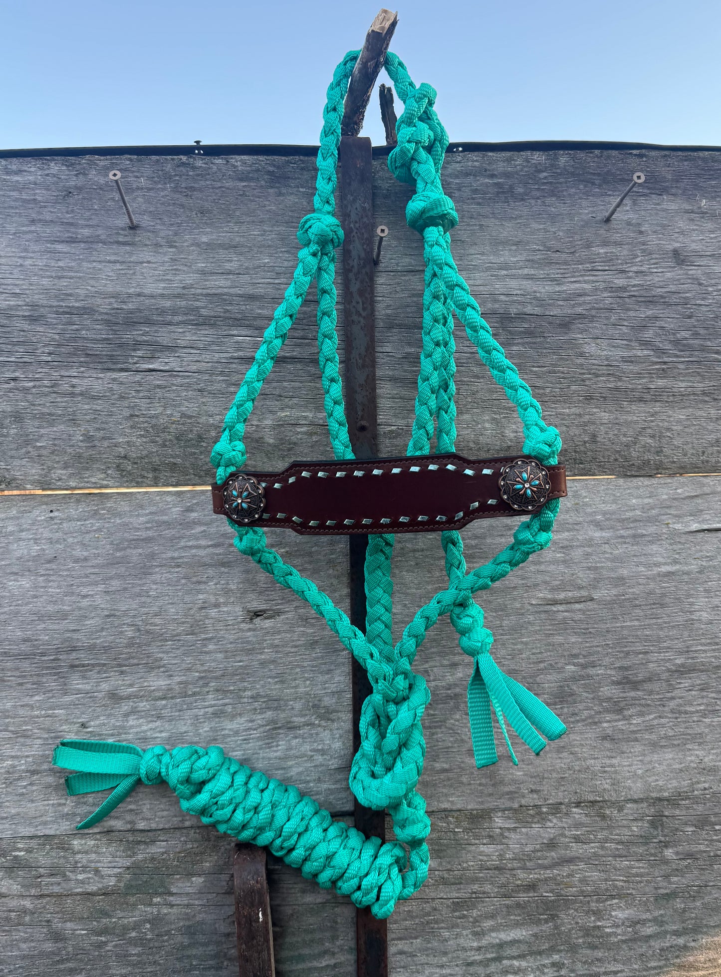 Ice Blue Bronc Halter