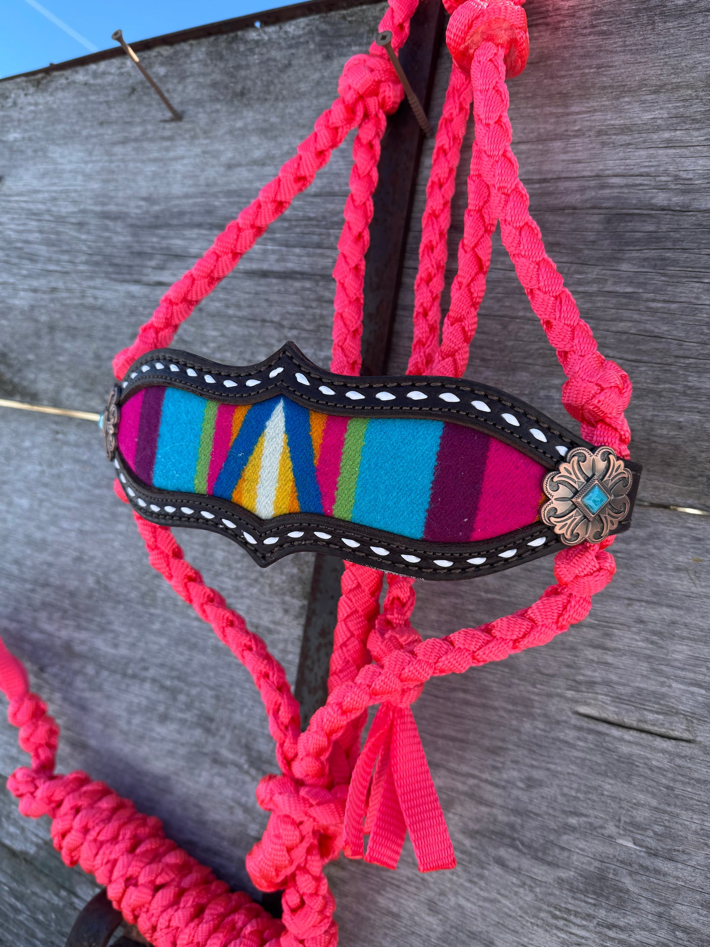 Pendleton Bronc Halter