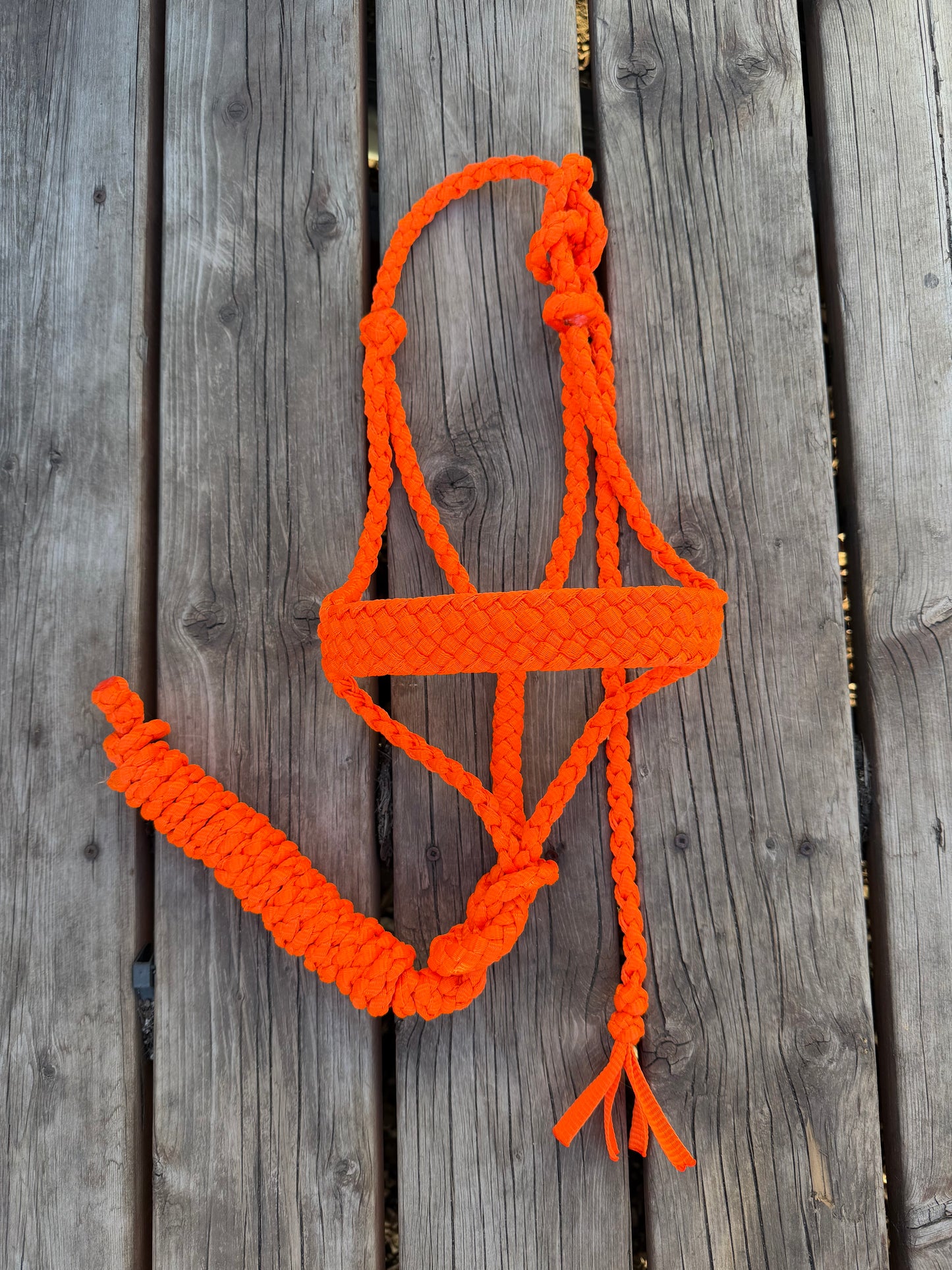 Orange Muletape Halter