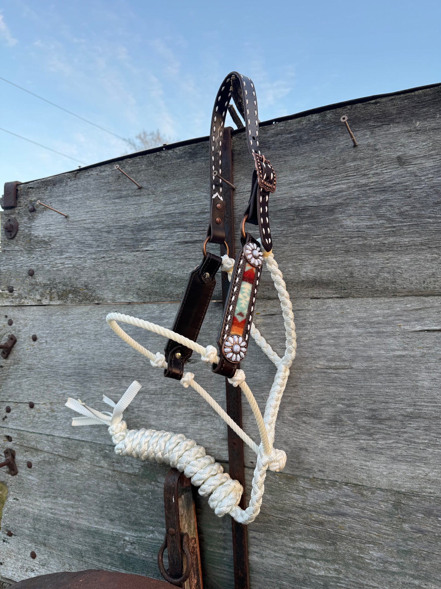 Pendleton Hybrid Halter