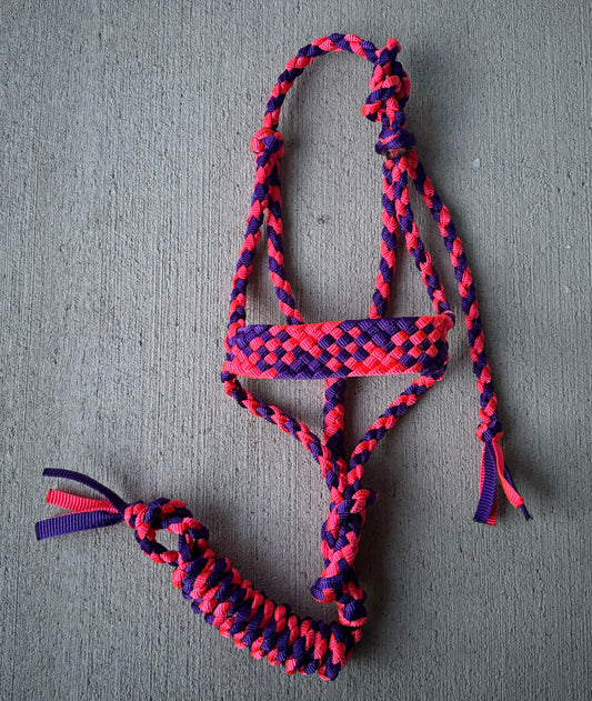 Purple/Pink Muletape Halter