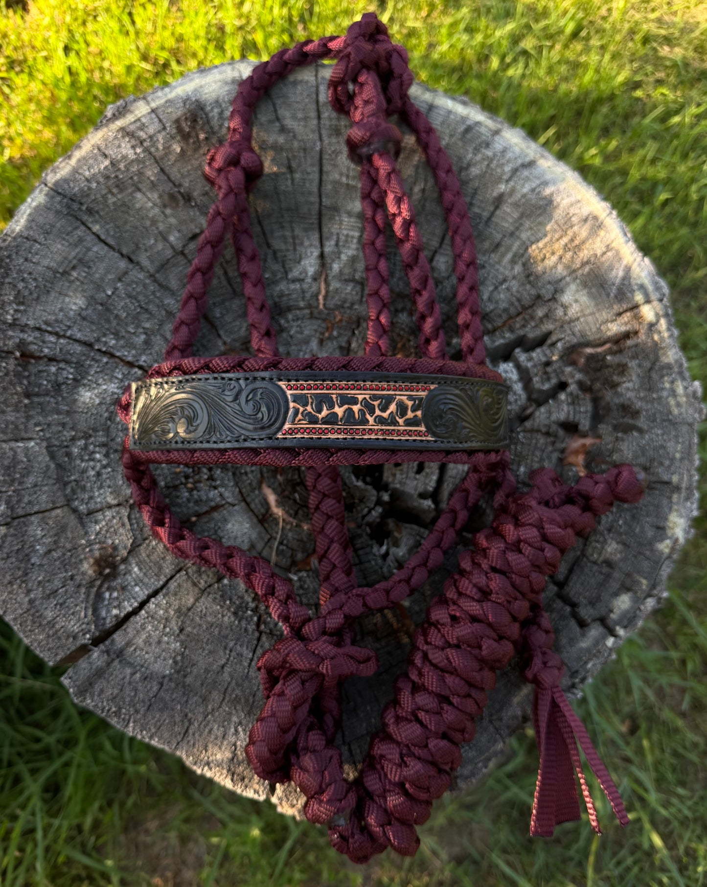 The "Cheetah Scroll" Halter