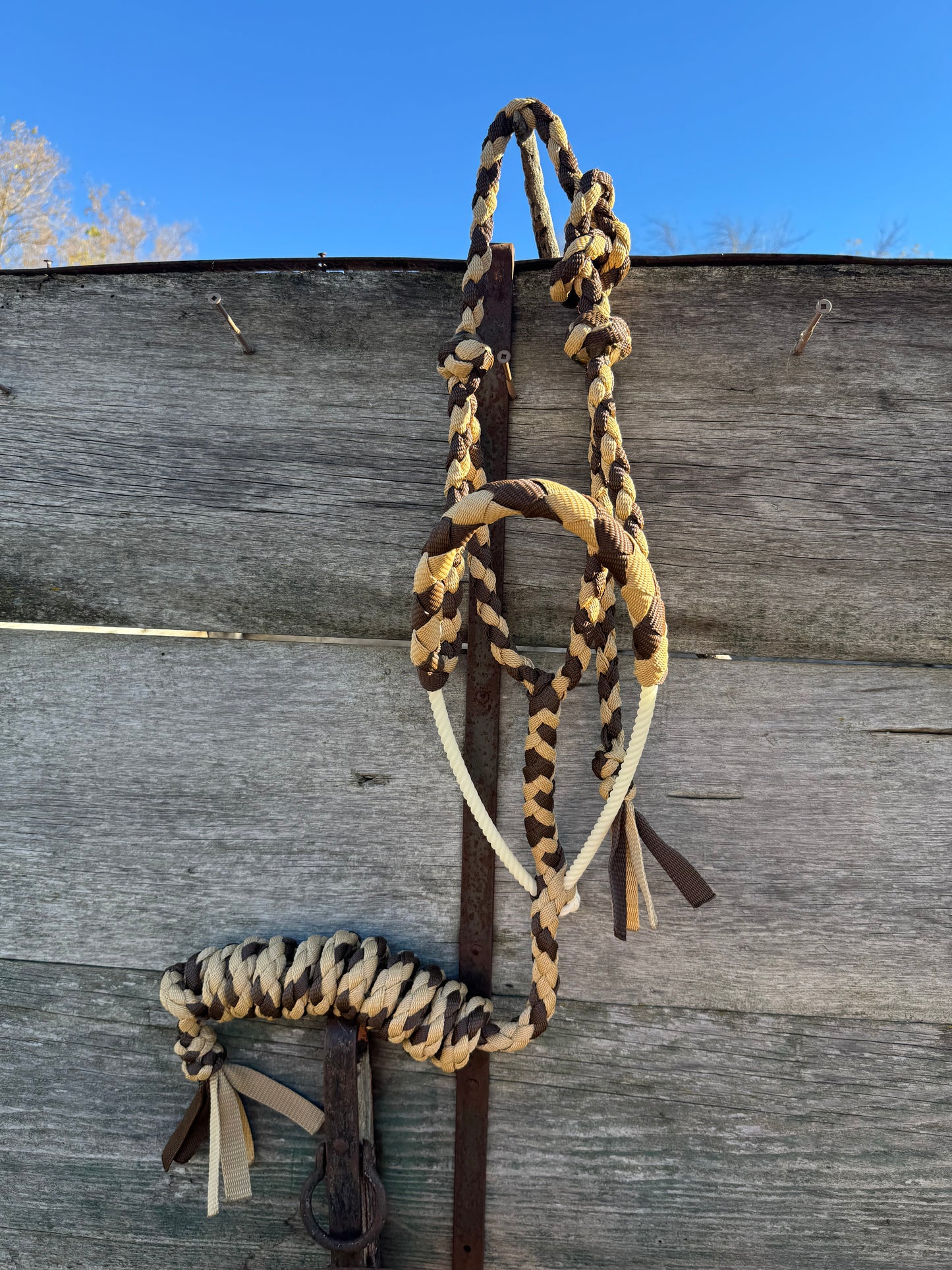 Gold & Brown Lariat Halter