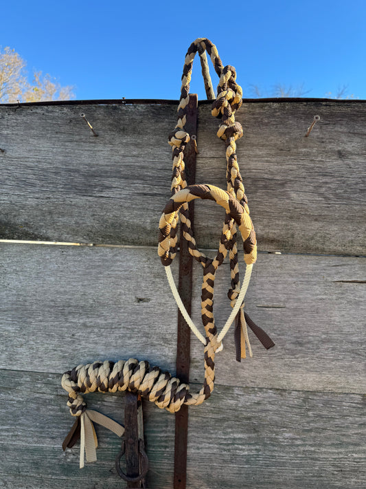 Gold & Brown Lariat Halter