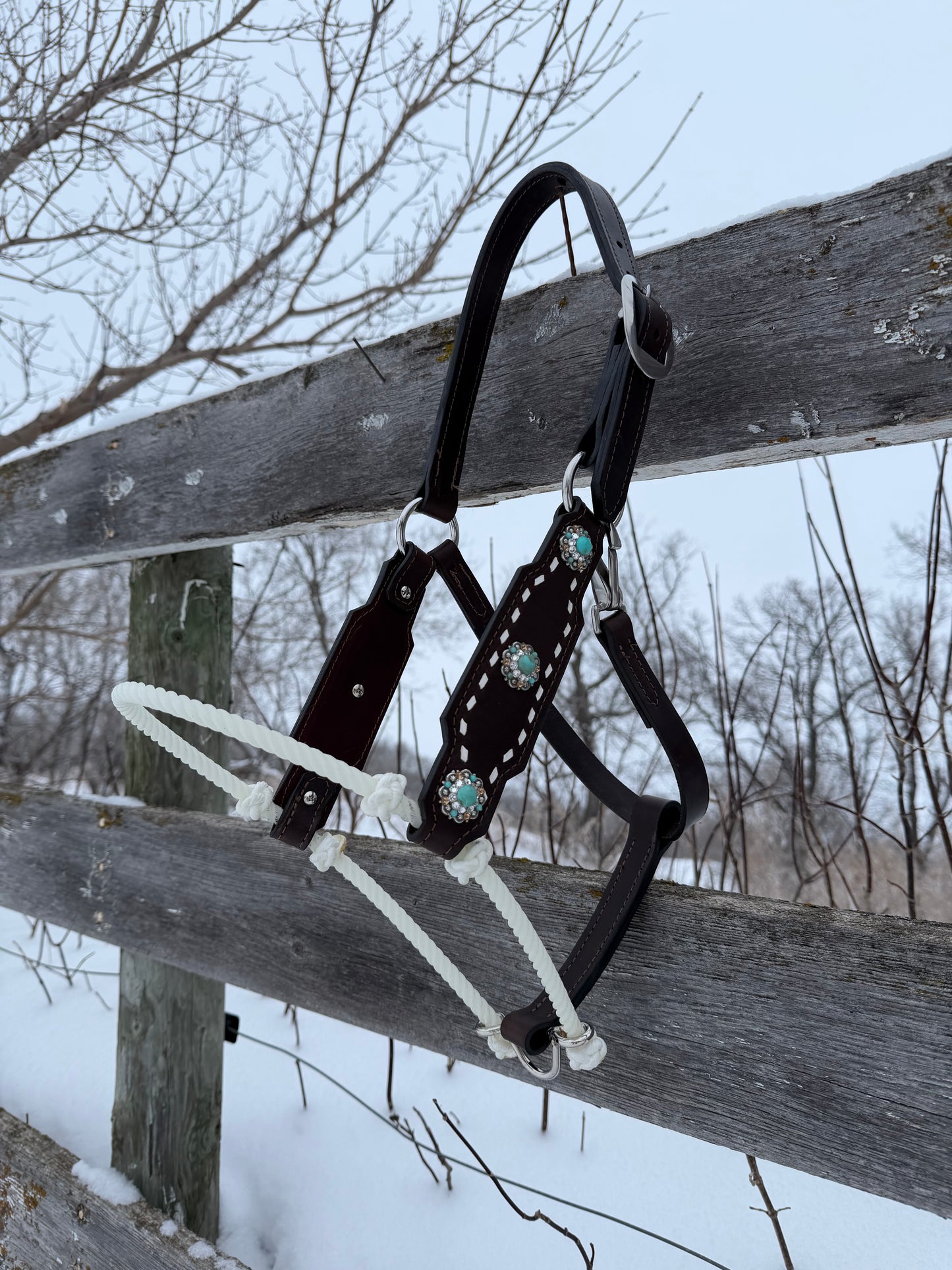 Turquoise Stone Hybrid