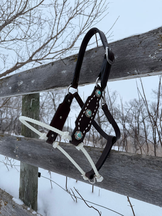 Turquoise Stone Hybrid