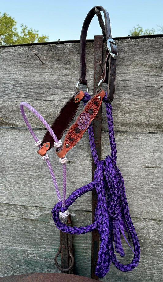 Purple Rose Hybrid Halter