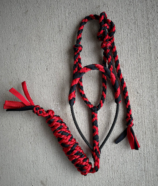 Navy/Red Lariat Halter