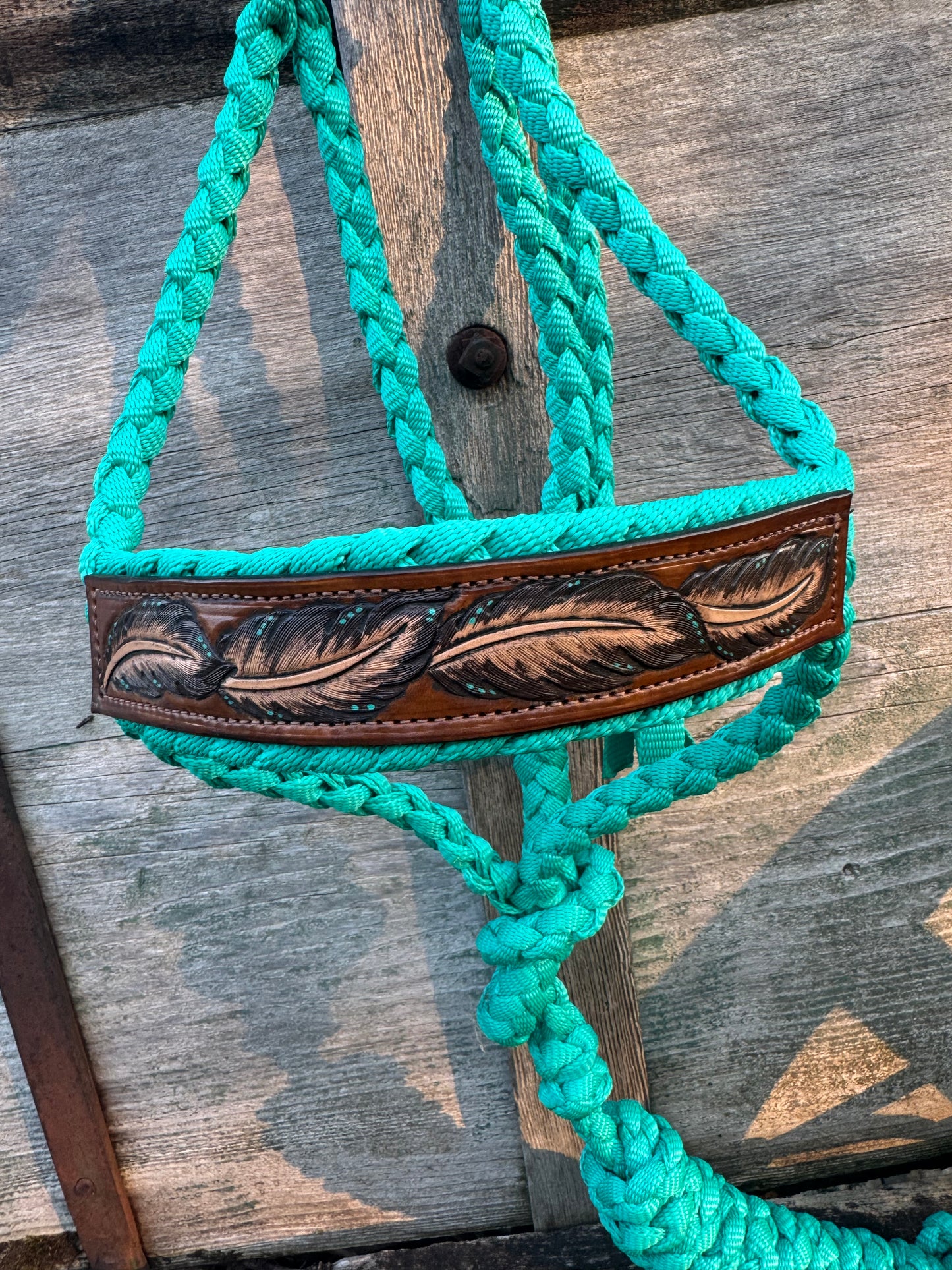 Turqouise Feather Halter