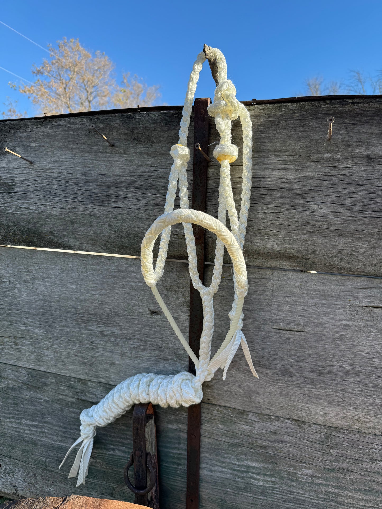 White Lariat Halter