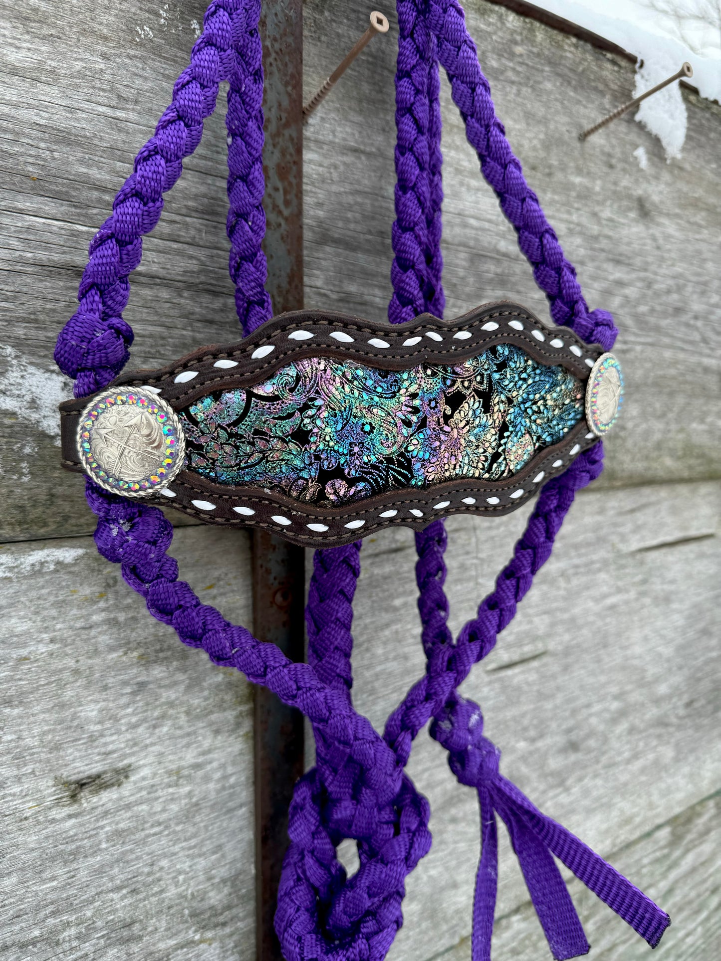 Paisley Bronc Halter