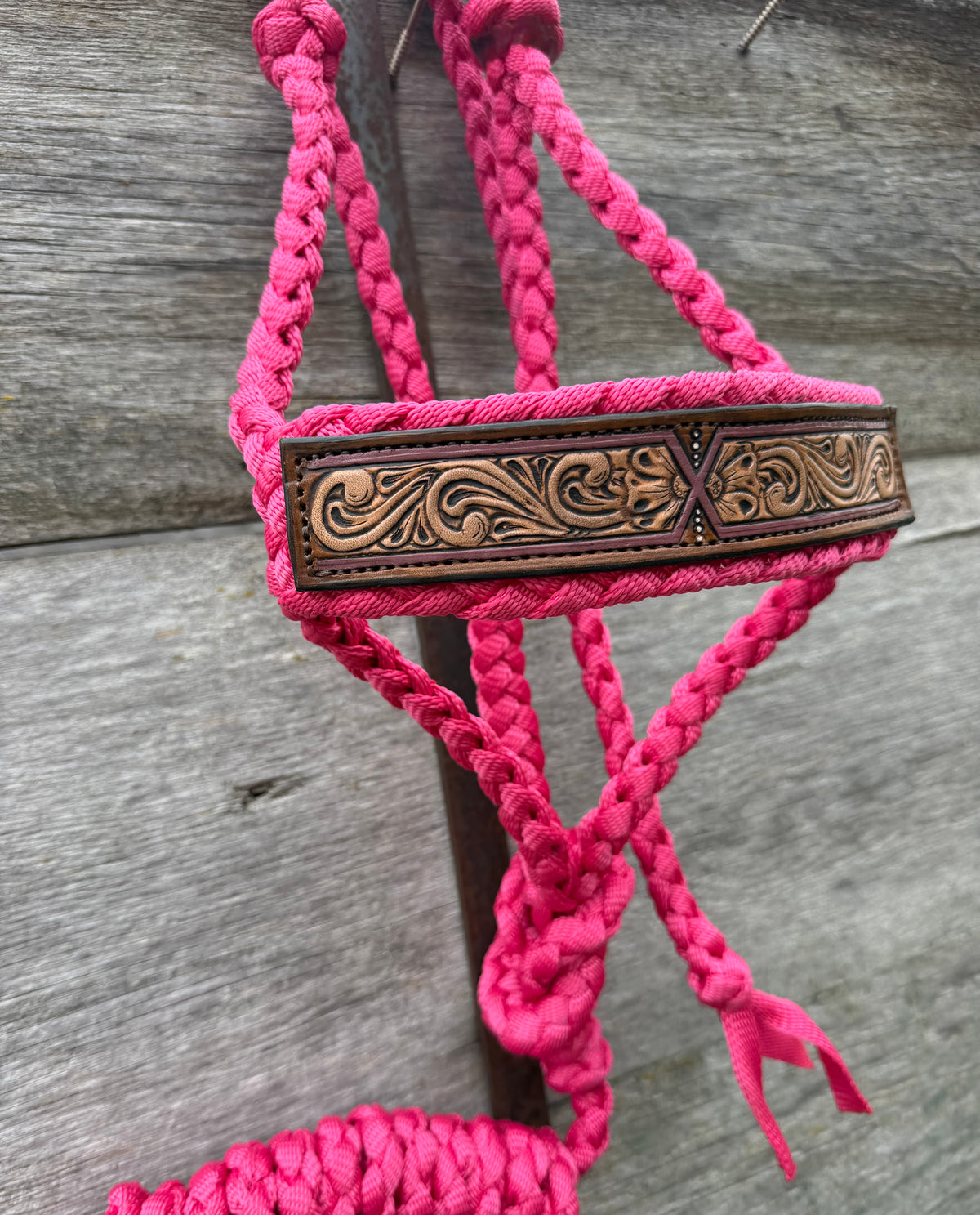 Raspberry Tooled Halter