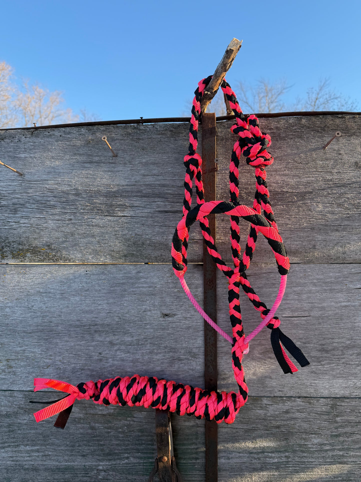 Pink & Black Lariat Halter