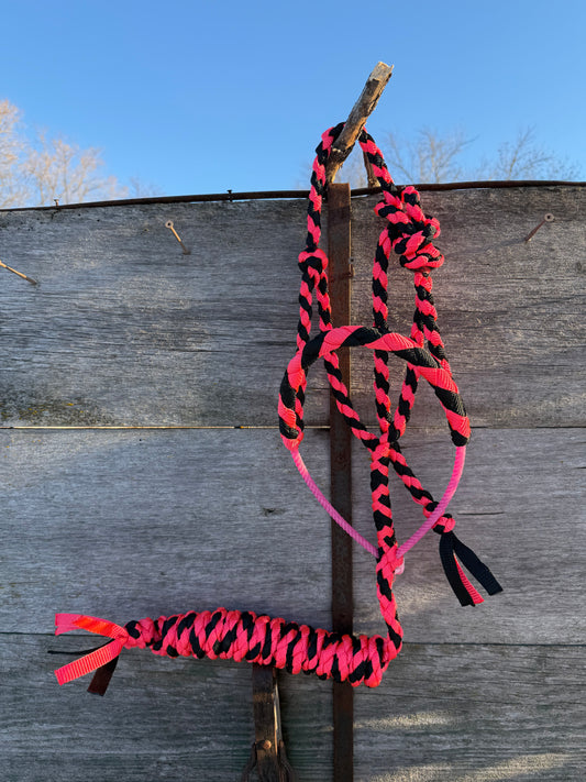 Pink & Black Lariat Halter