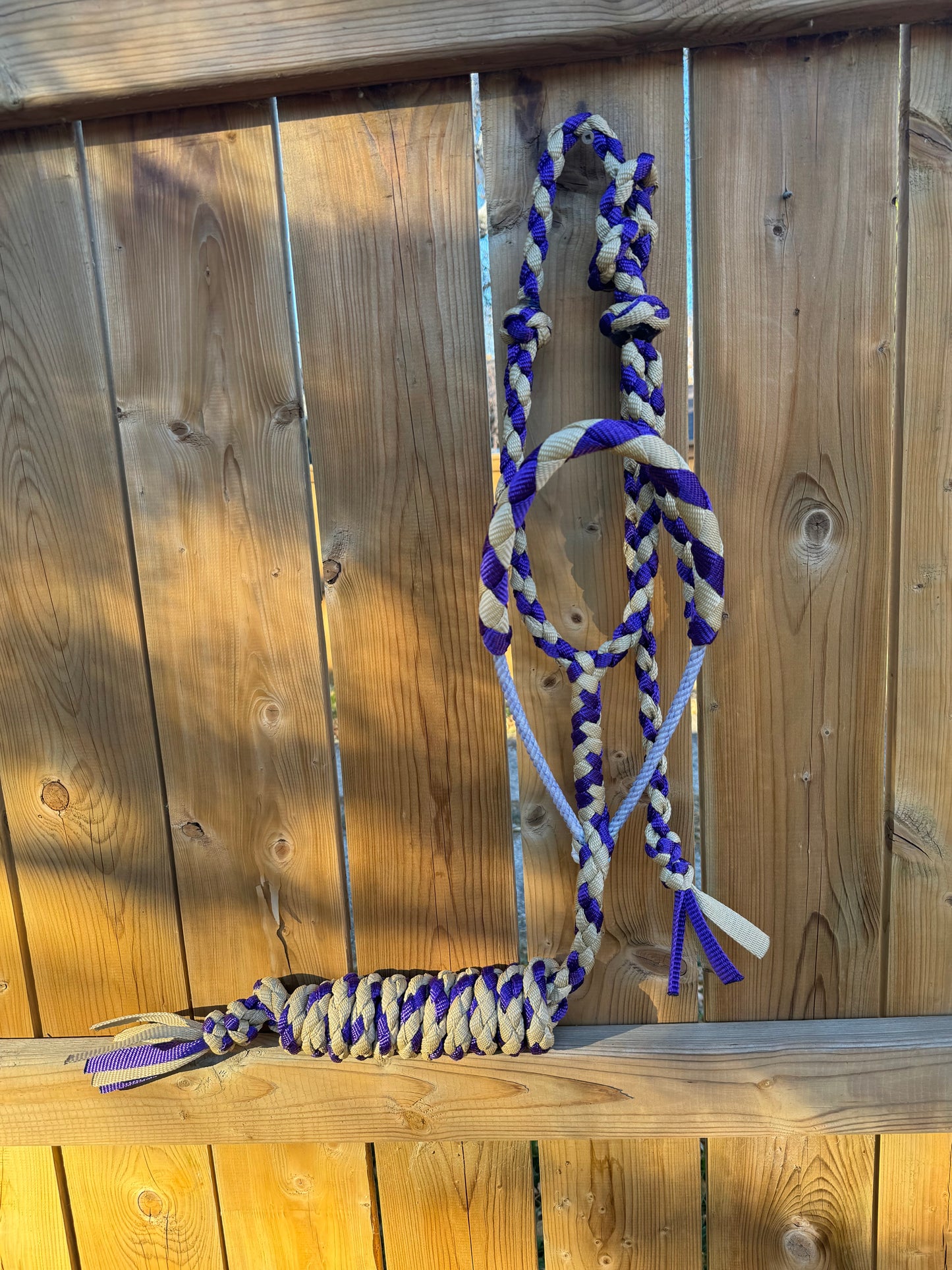 Gold/Purple Lariat Halter