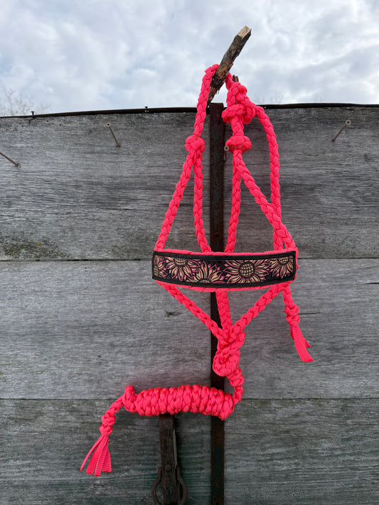 The "Pink Sunflower" Halter