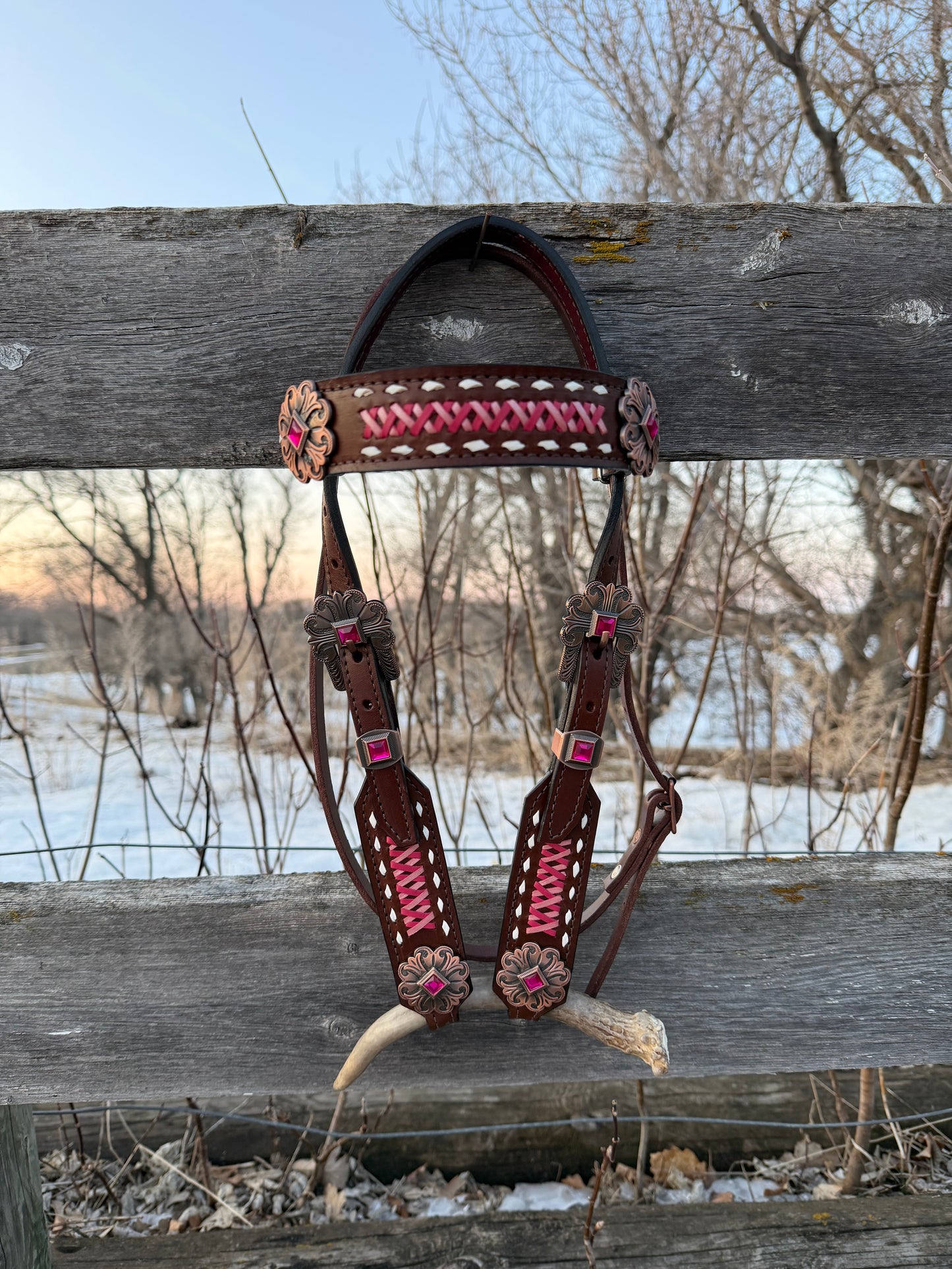 "Shades of Pink" Browband Headstall