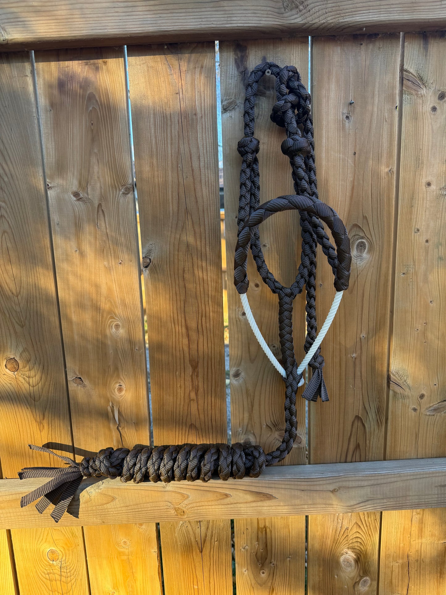 Brown Lariat Halter