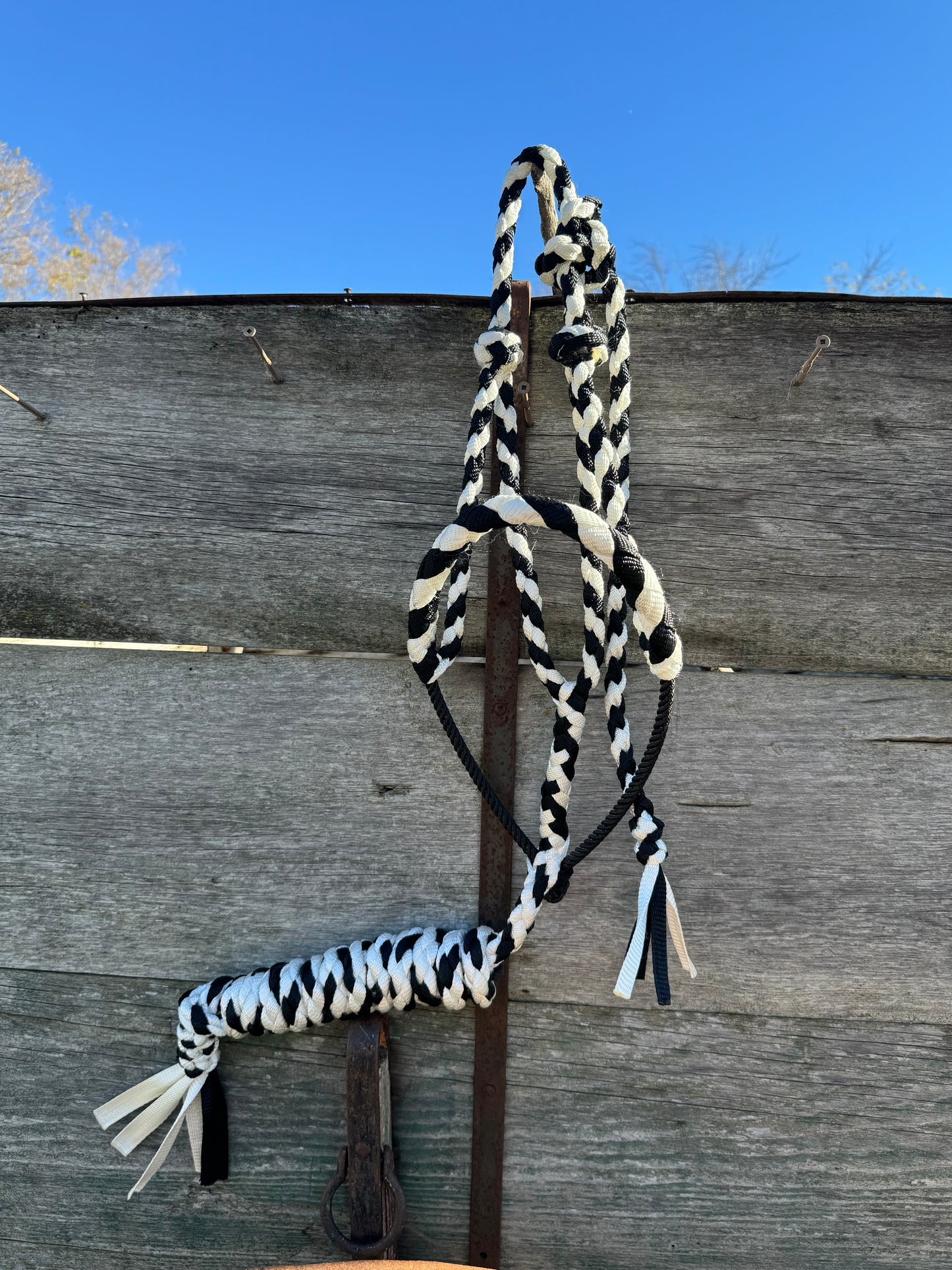 Black & White Lariat Halter