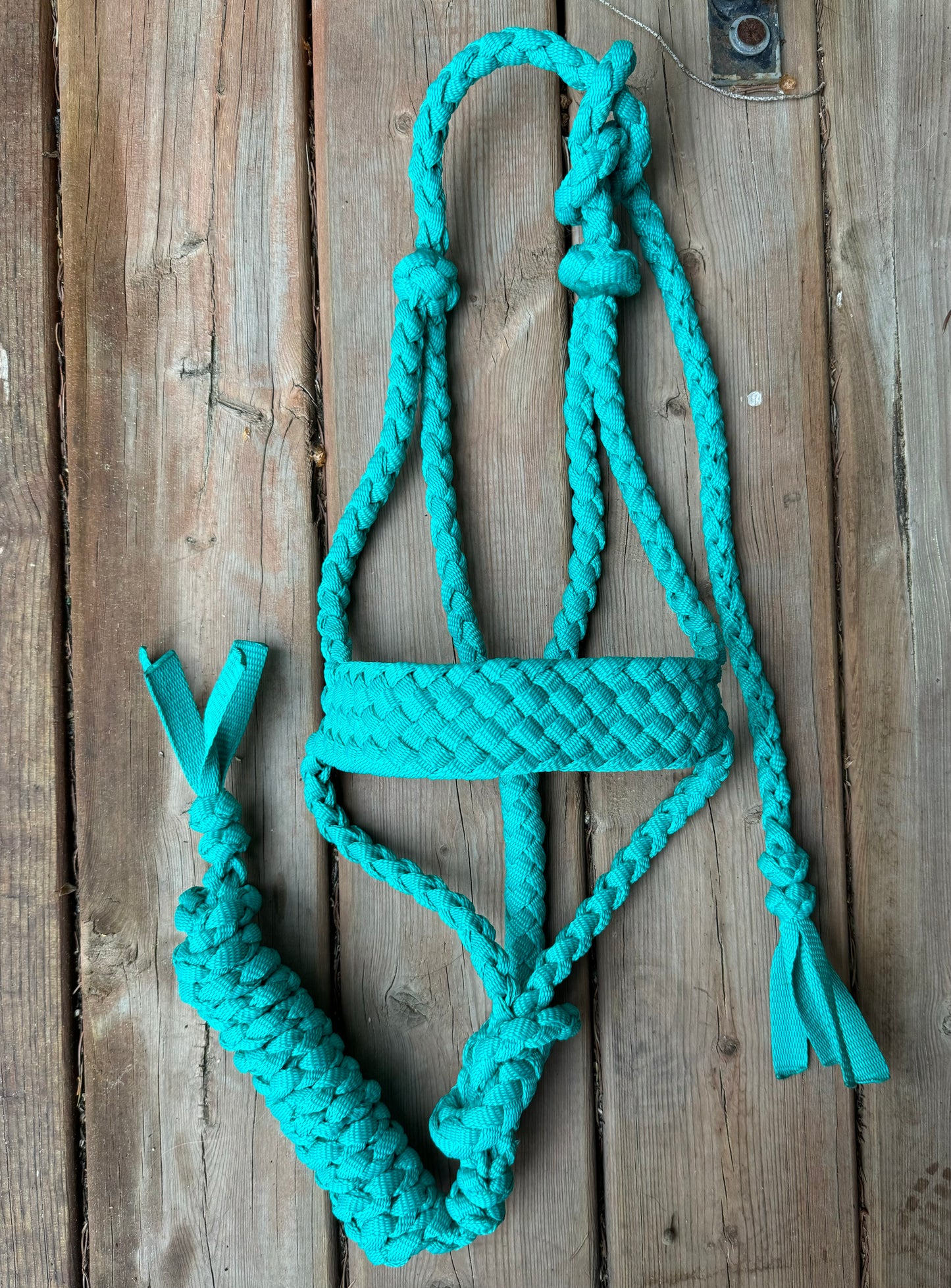 Turquoise Muletape Halter