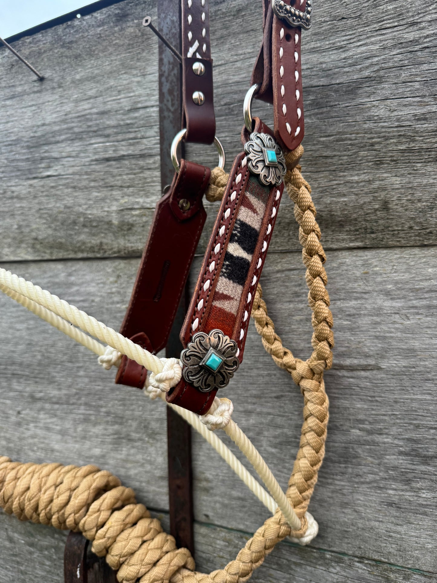 Pendleton Hybrid Halter