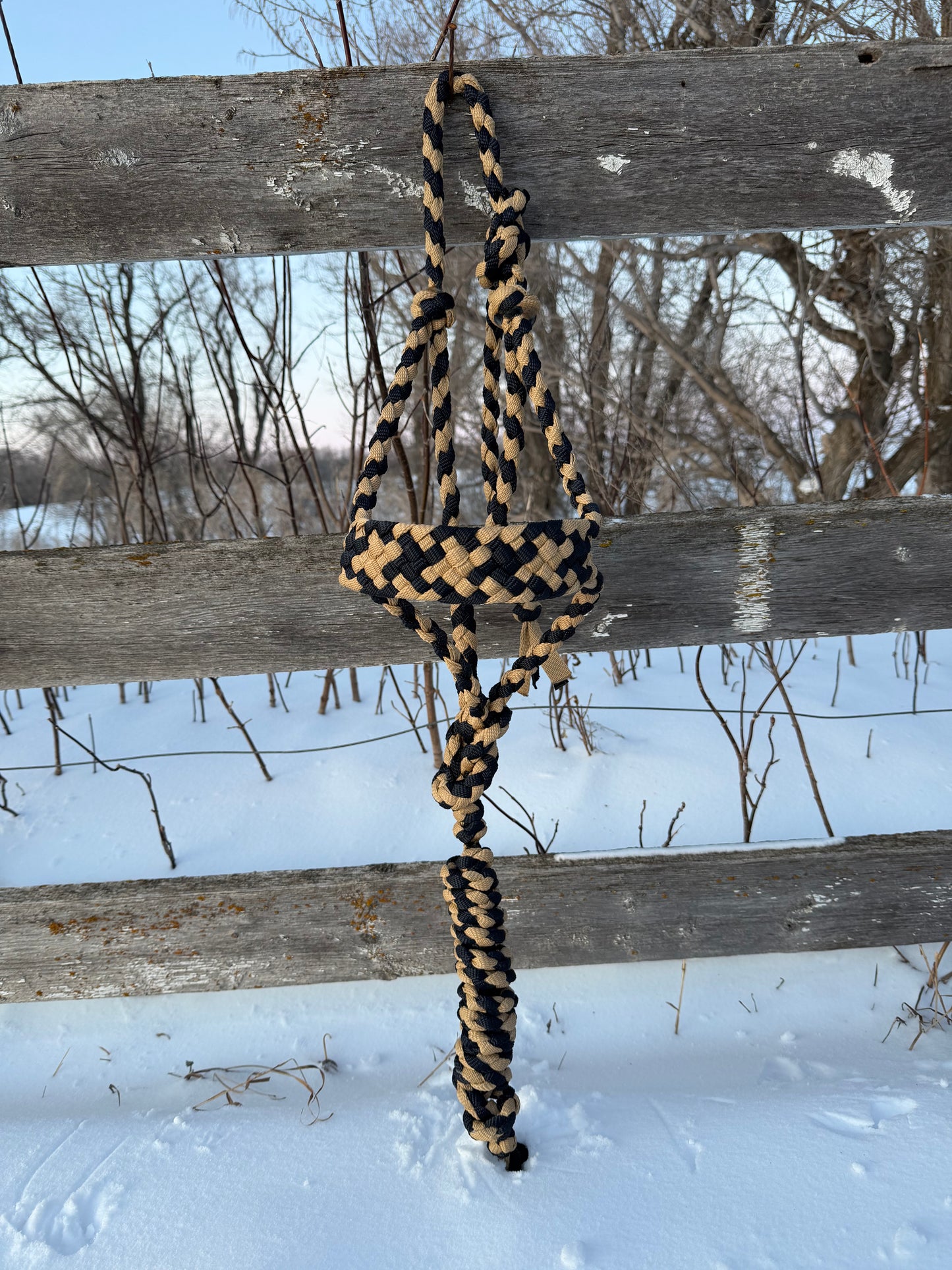 Navy & Gold Muletape Halter