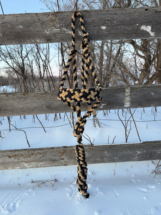 Navy & Gold Muletape Halter