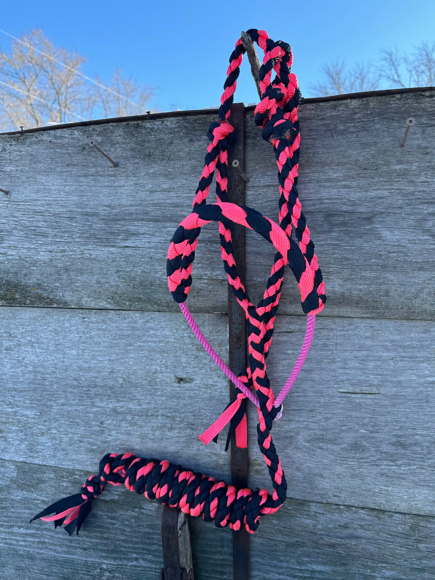 Navy/Pink Lariat Halter