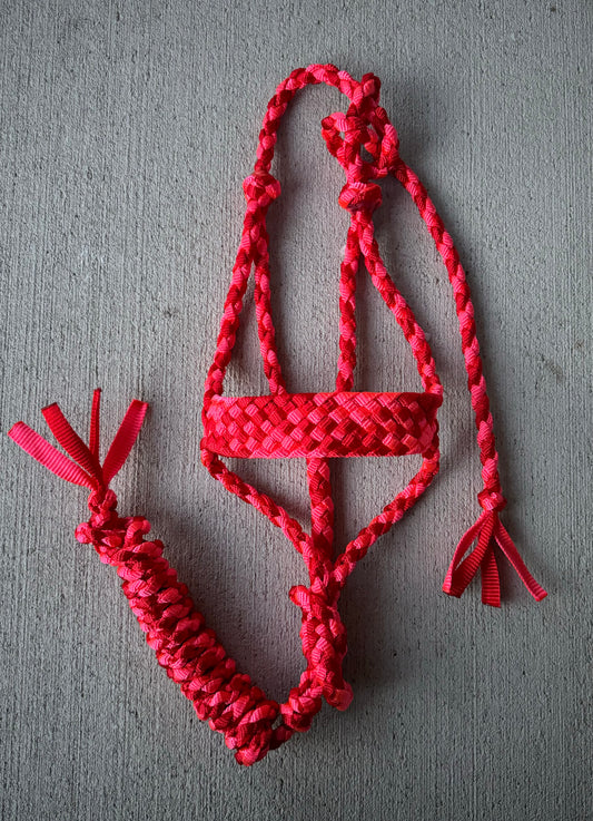 Red/Pink Muletape Halter