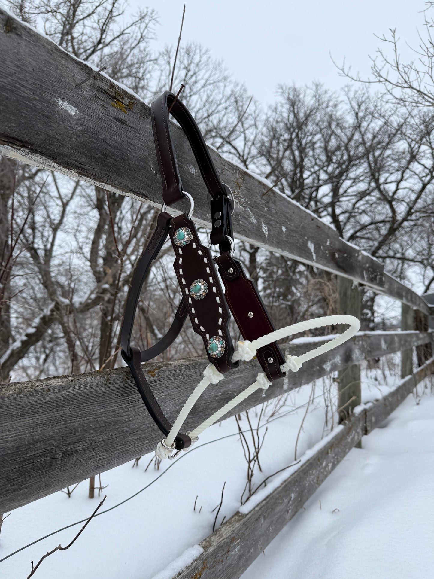 Turquoise Stone Hybrid
