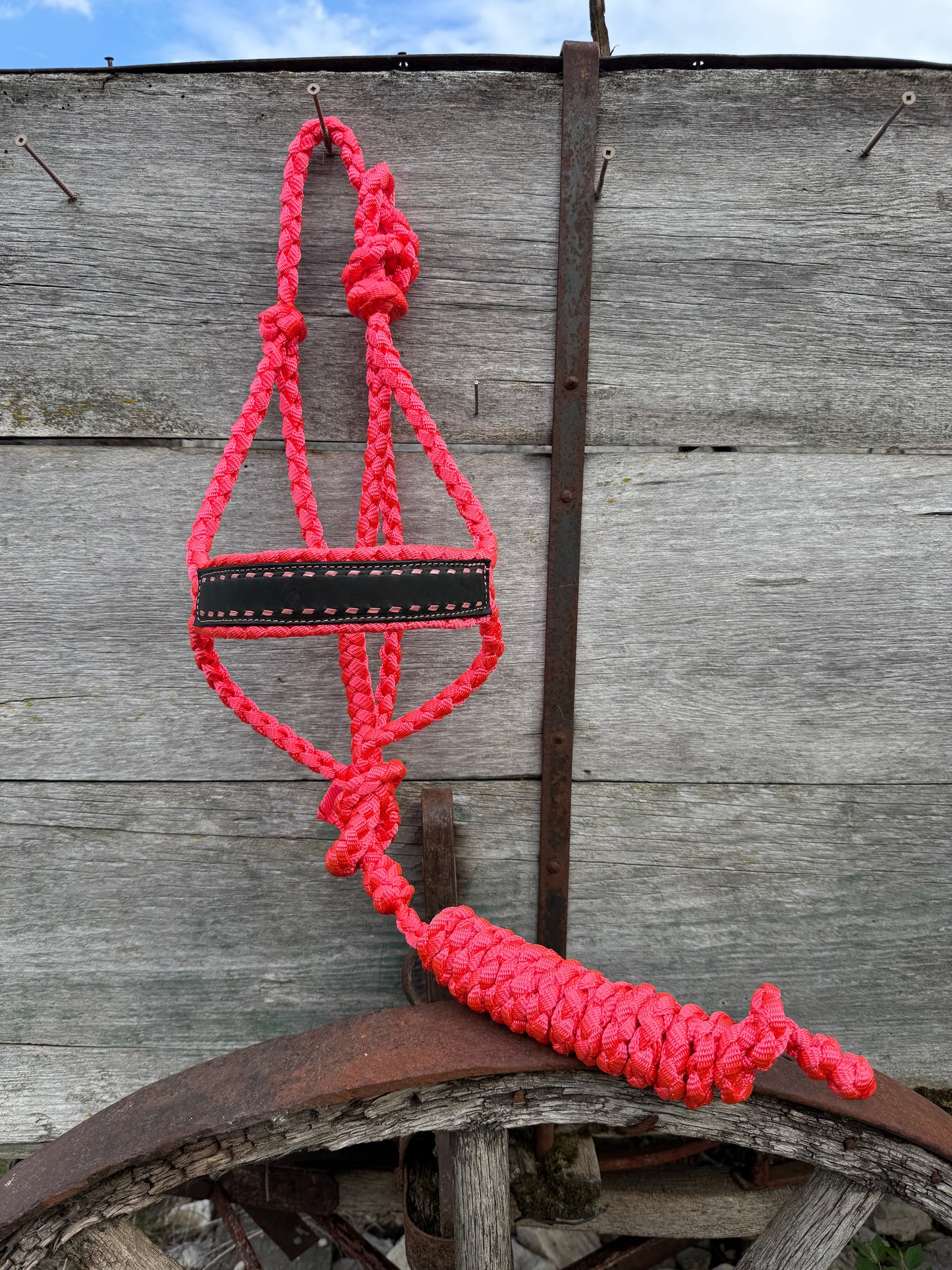 Pink Buckstitch Halter