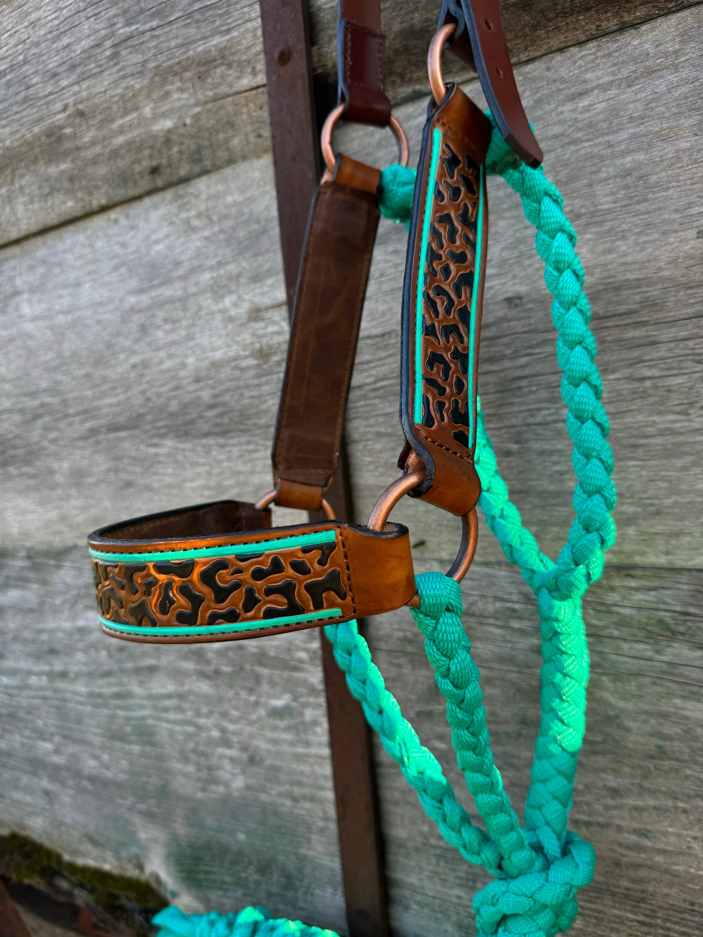 Cheetah OG Halter