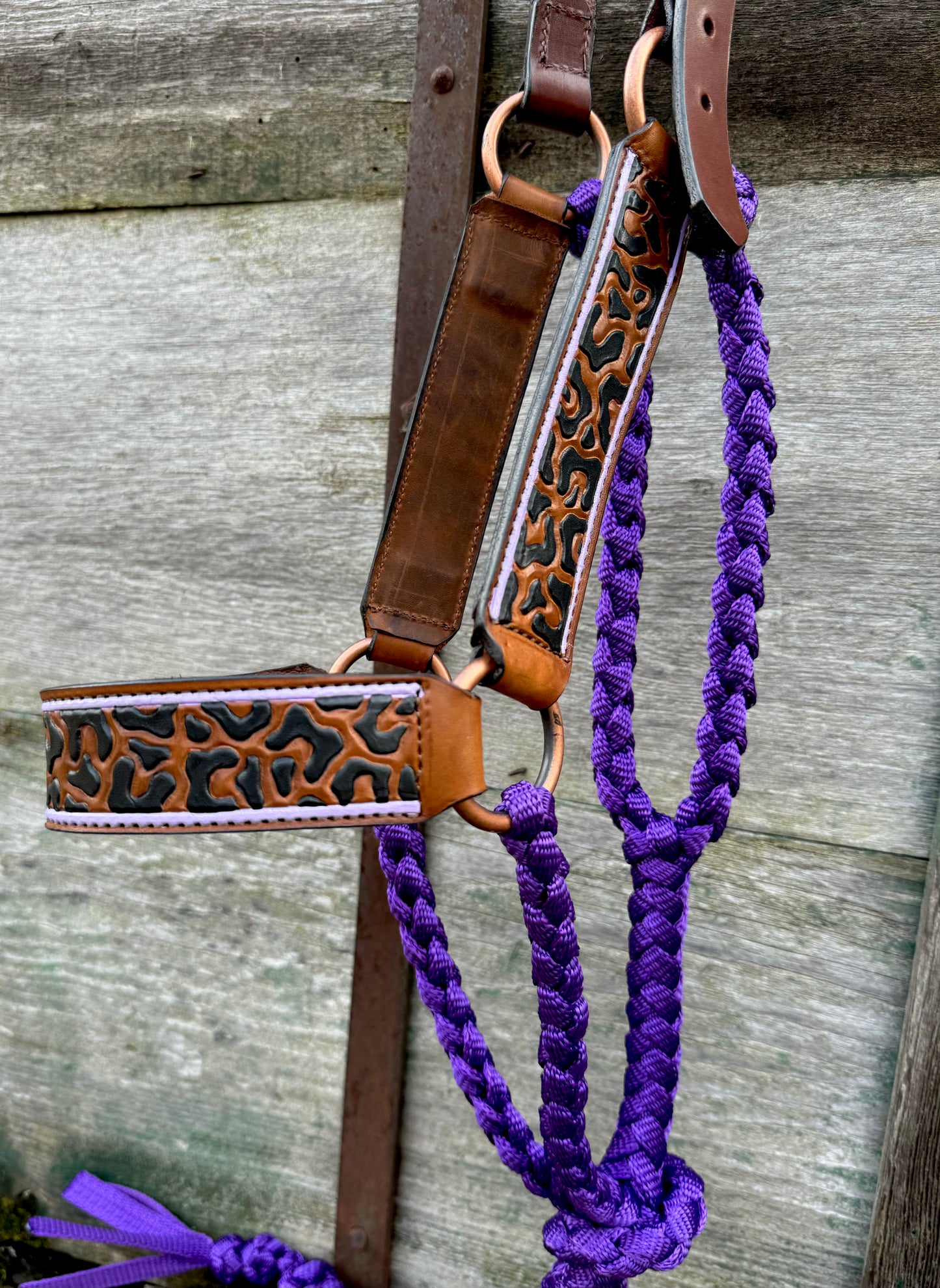 Cheetah OG Halter