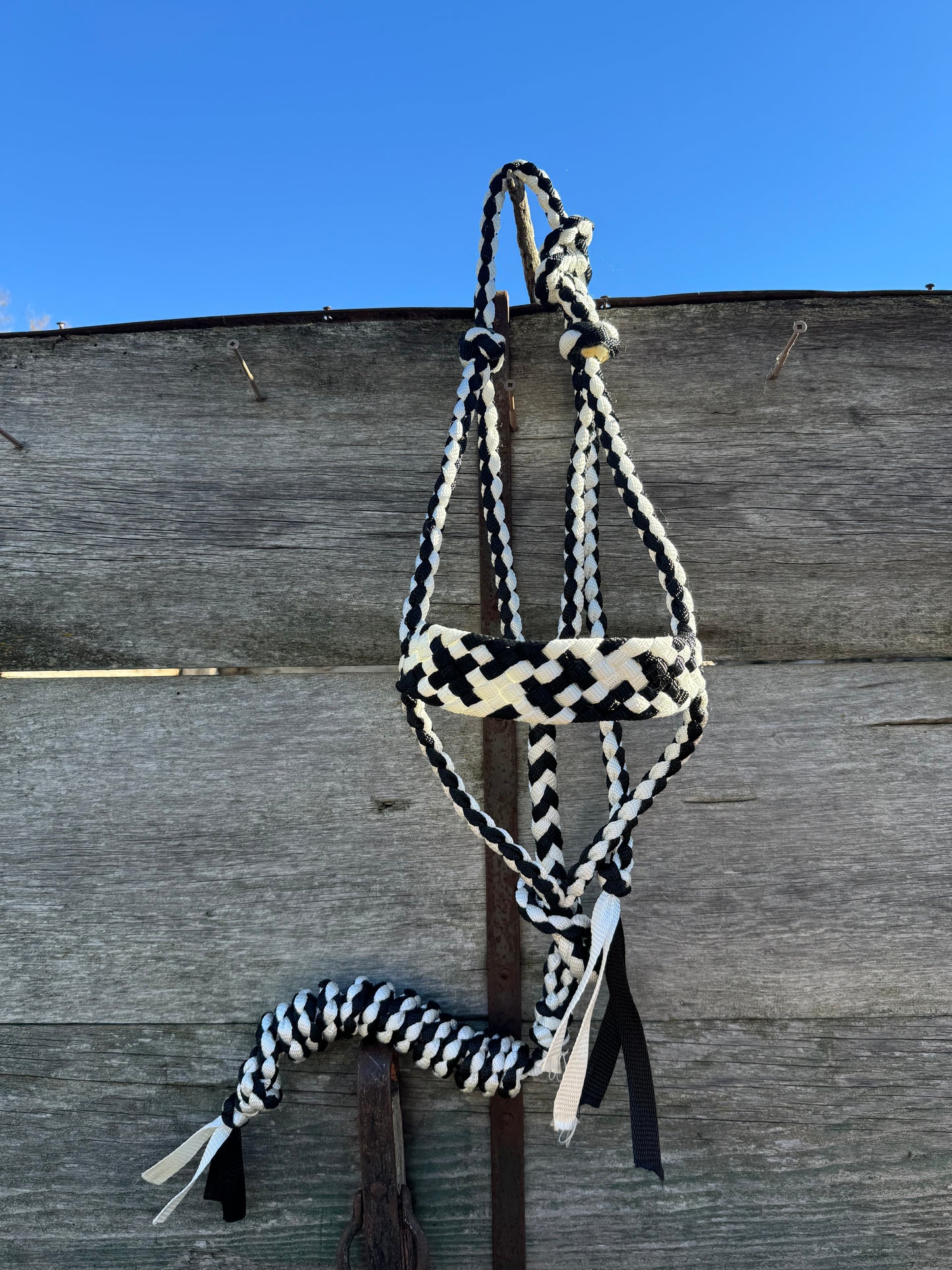 Black & White Muletape Halter