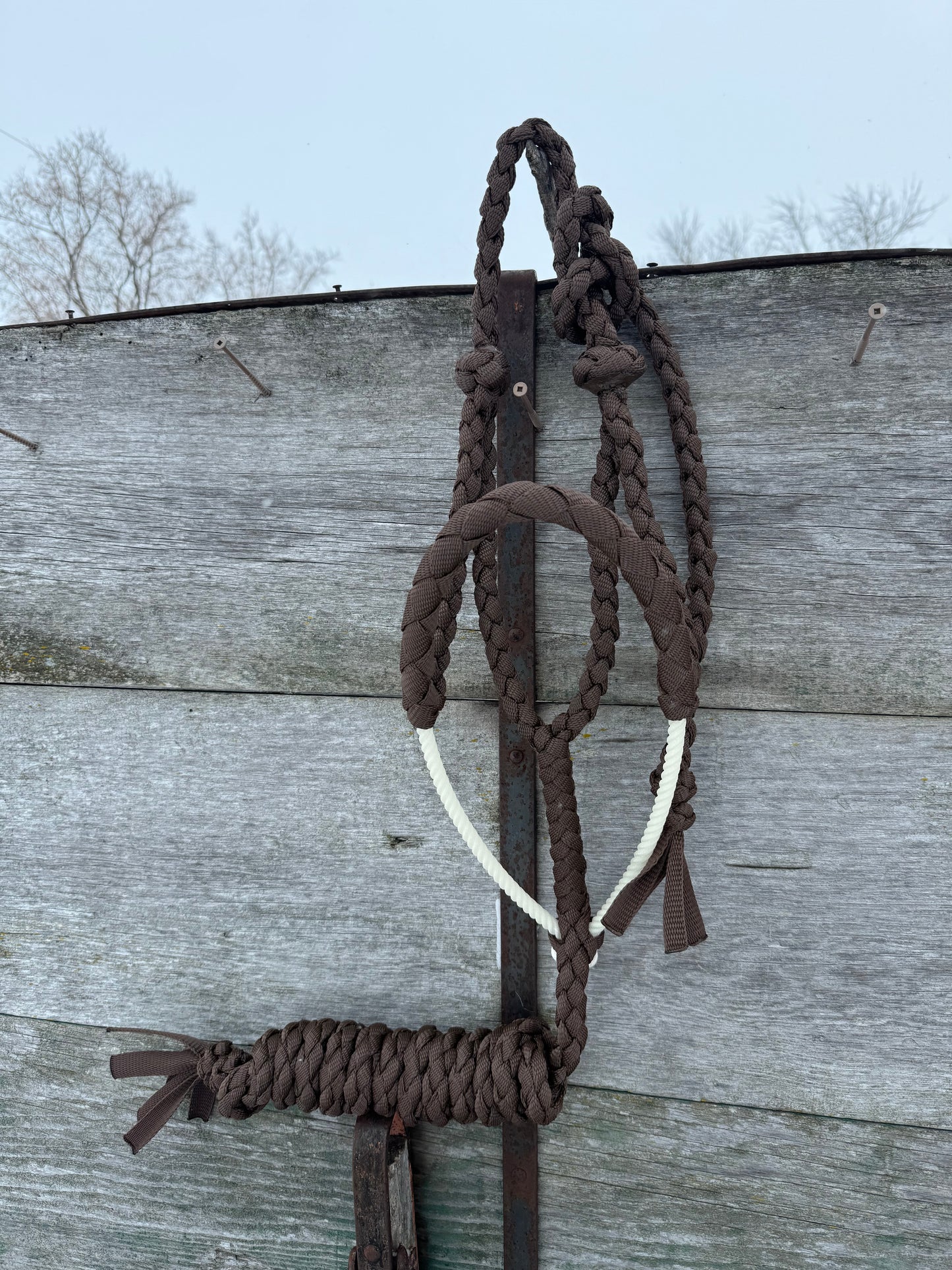 Brown Lariat Halter