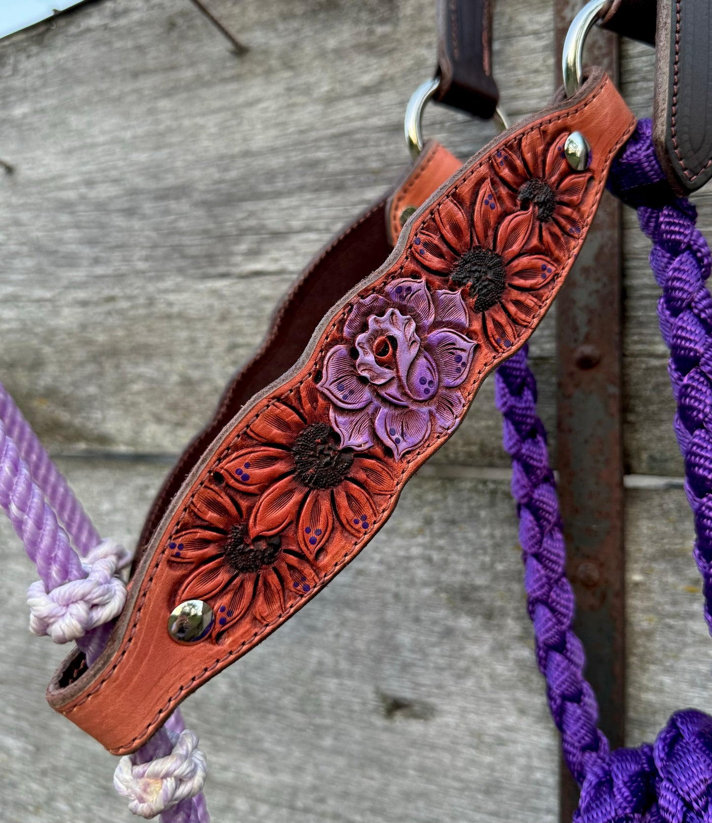 Purple Rose Hybrid Halter