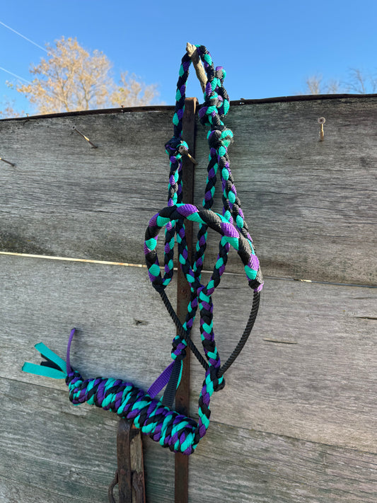 Purple/Teal/Black Lariat Halter