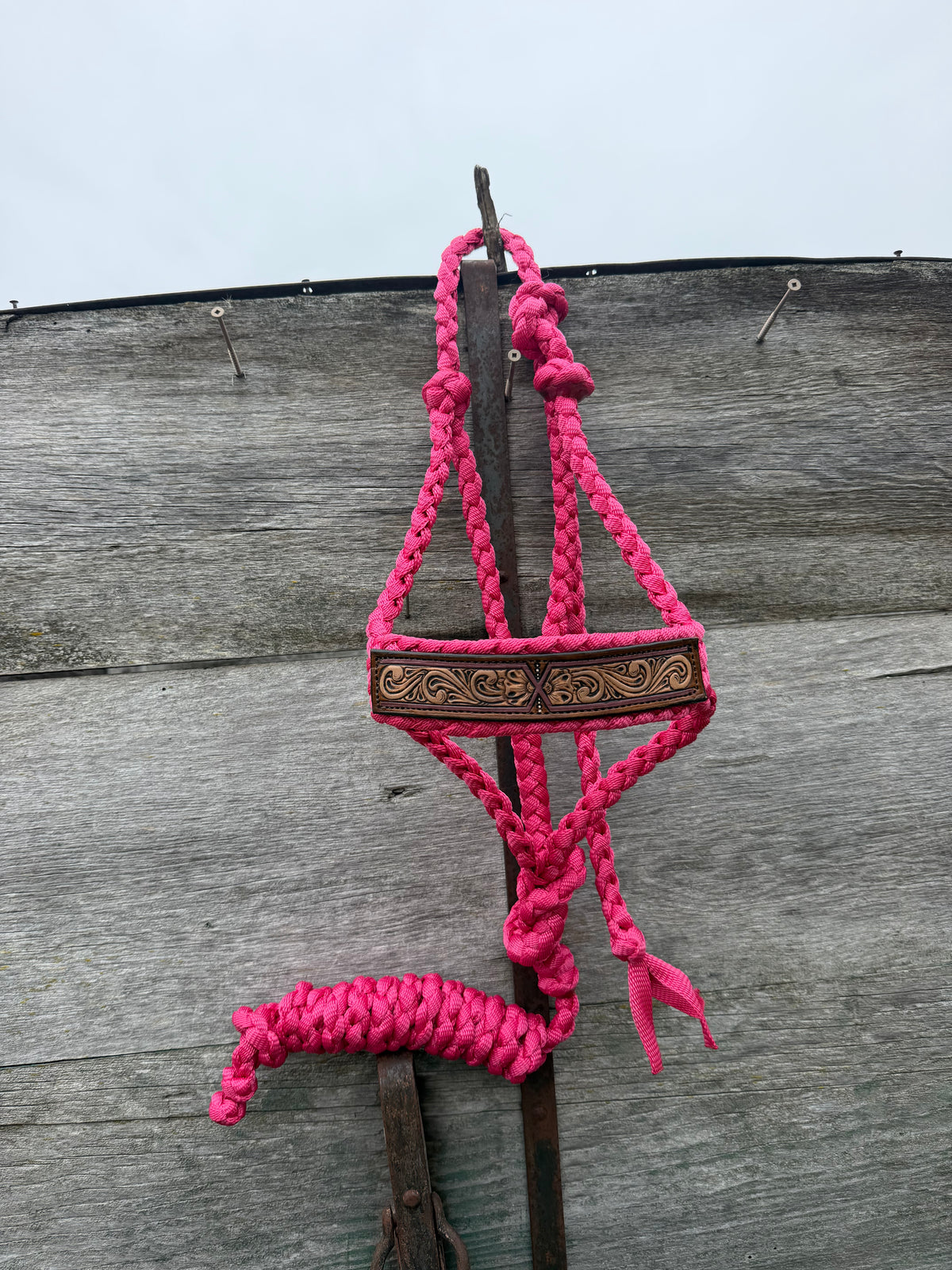 Raspberry Tooled Halter