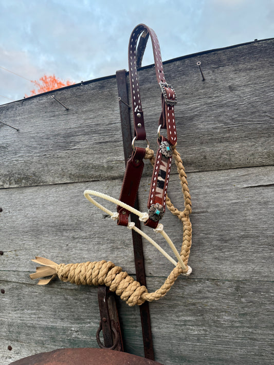 Pendleton Hybrid Halter